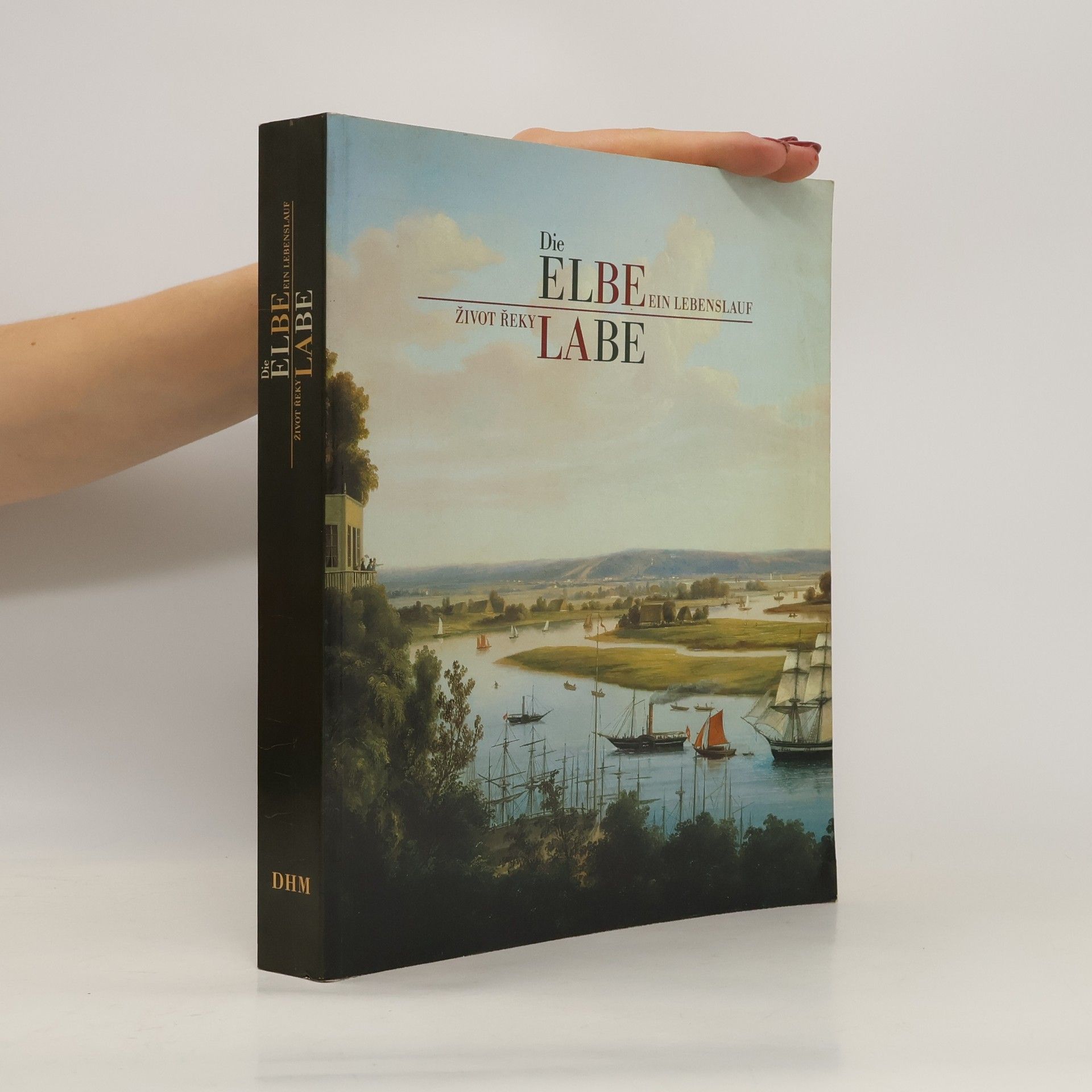 Gesine Asmus Die Elbe