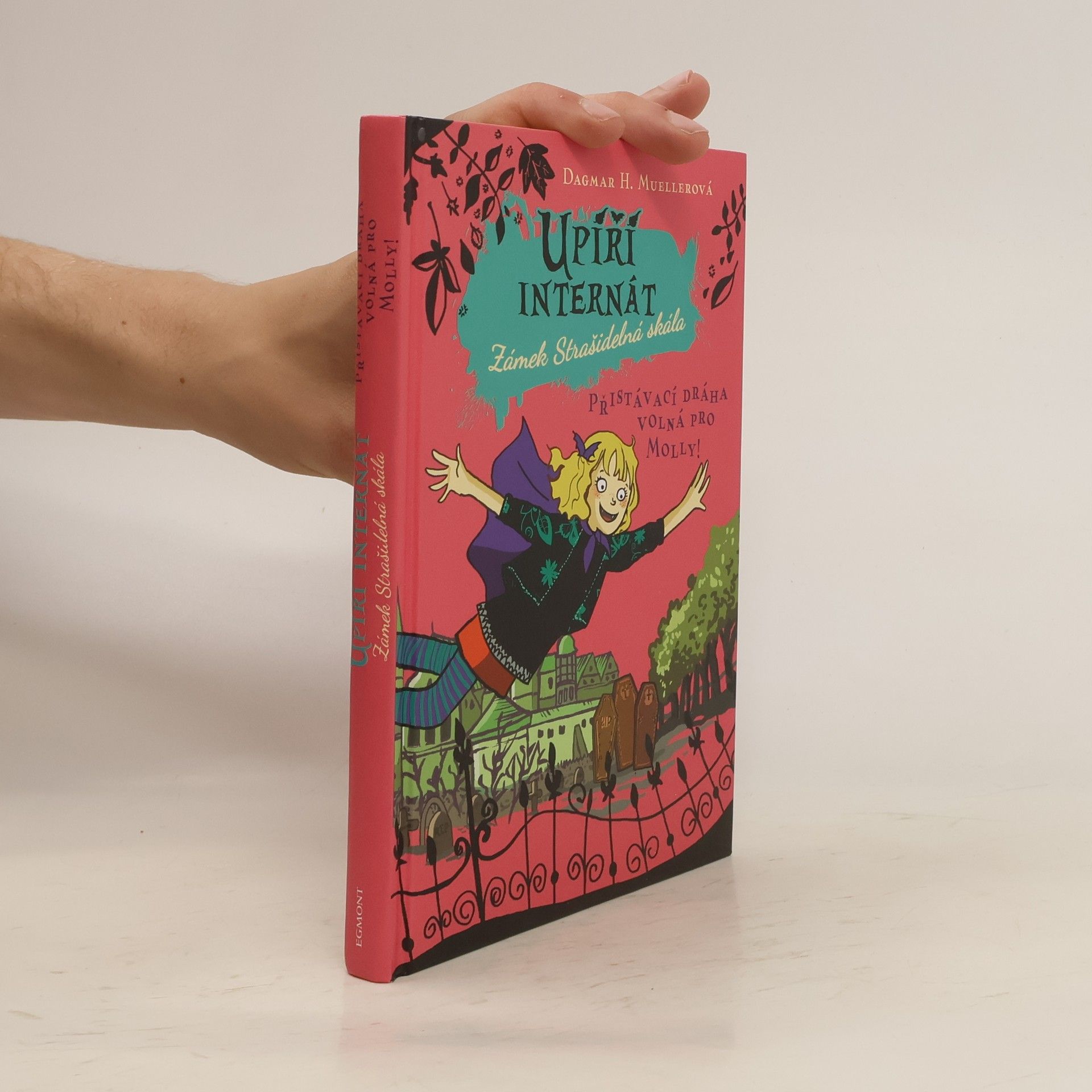 Upíří internát Zámek Strašidelná skála. Přistávací dráha volná pro Molly!