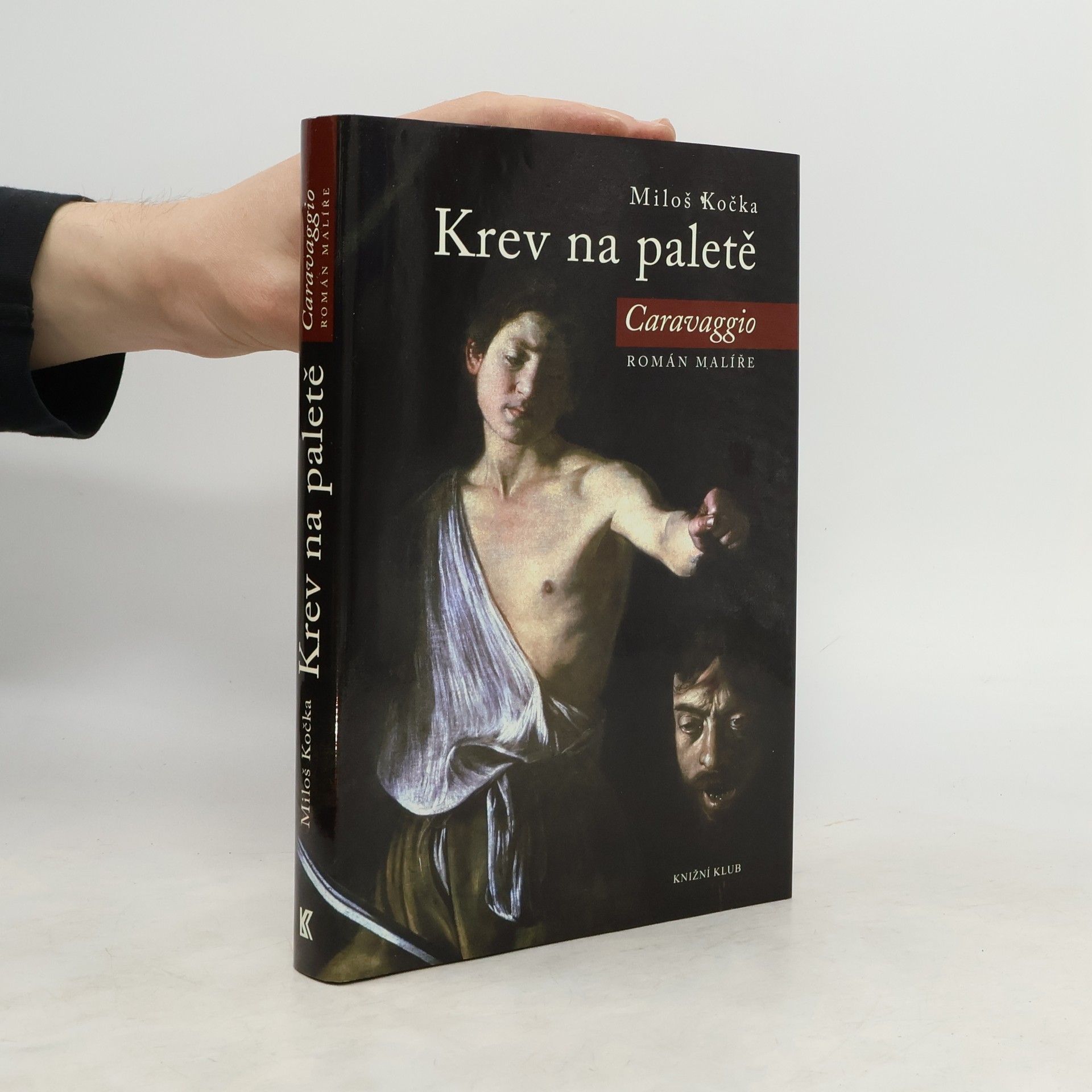 Miloš Kočka Krev na paletě