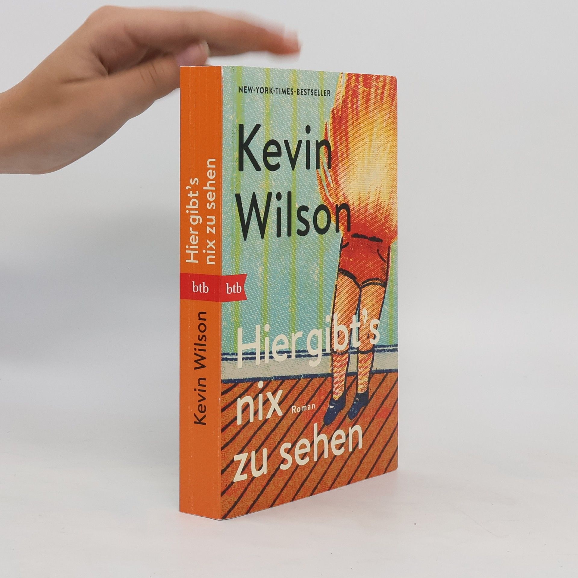 Kevin Wilson Hier gibt’s nix zu sehen