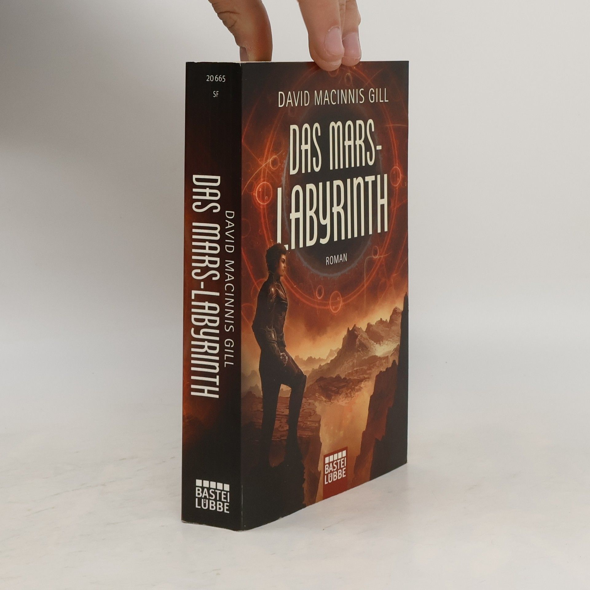 David Macinnis Gill Das Mars-Labyrinth