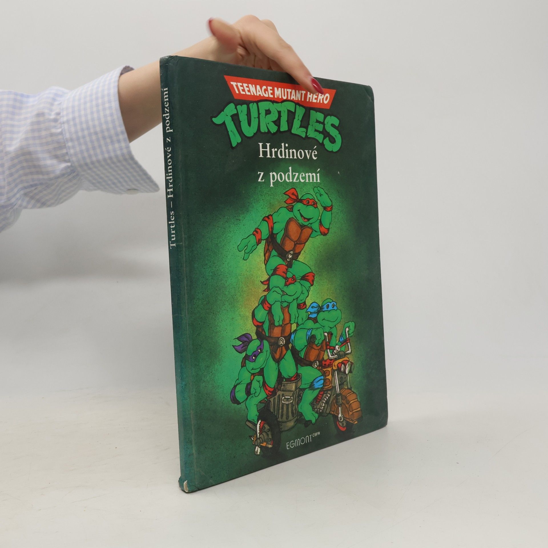 Maureen Spurgeon Teenage Mutant Ninja Turtles. Hrdinové z podzemí