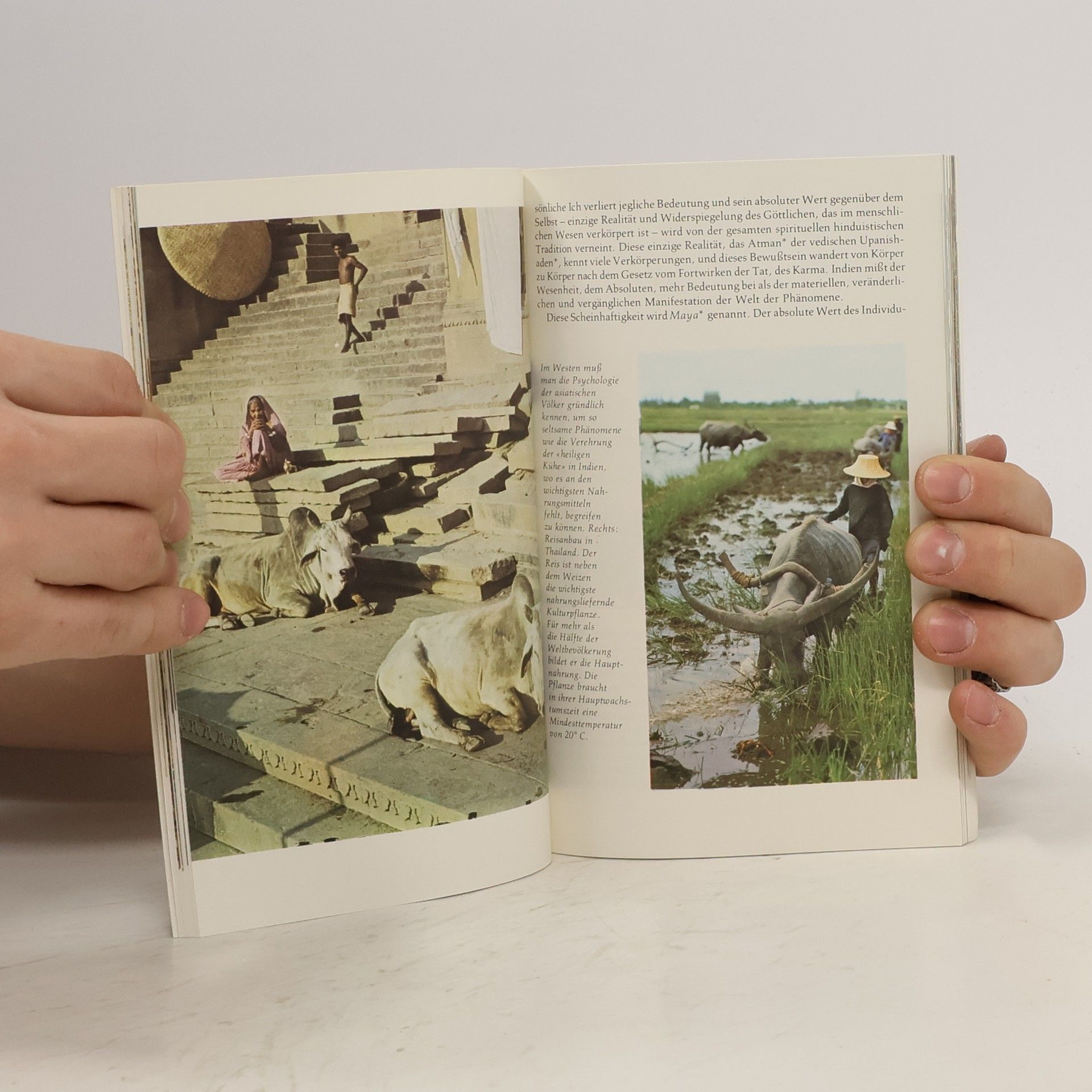 Jean R. Riviere Asien und der Westen