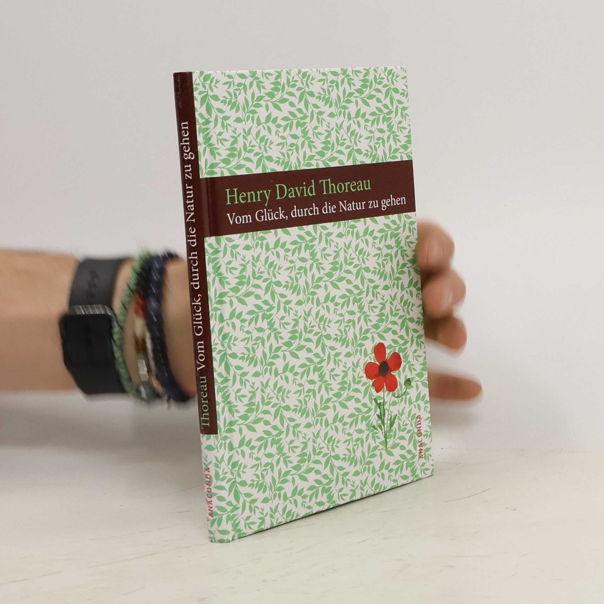 Henry David Thoreau Vom Glück durch die Natur zu gehen