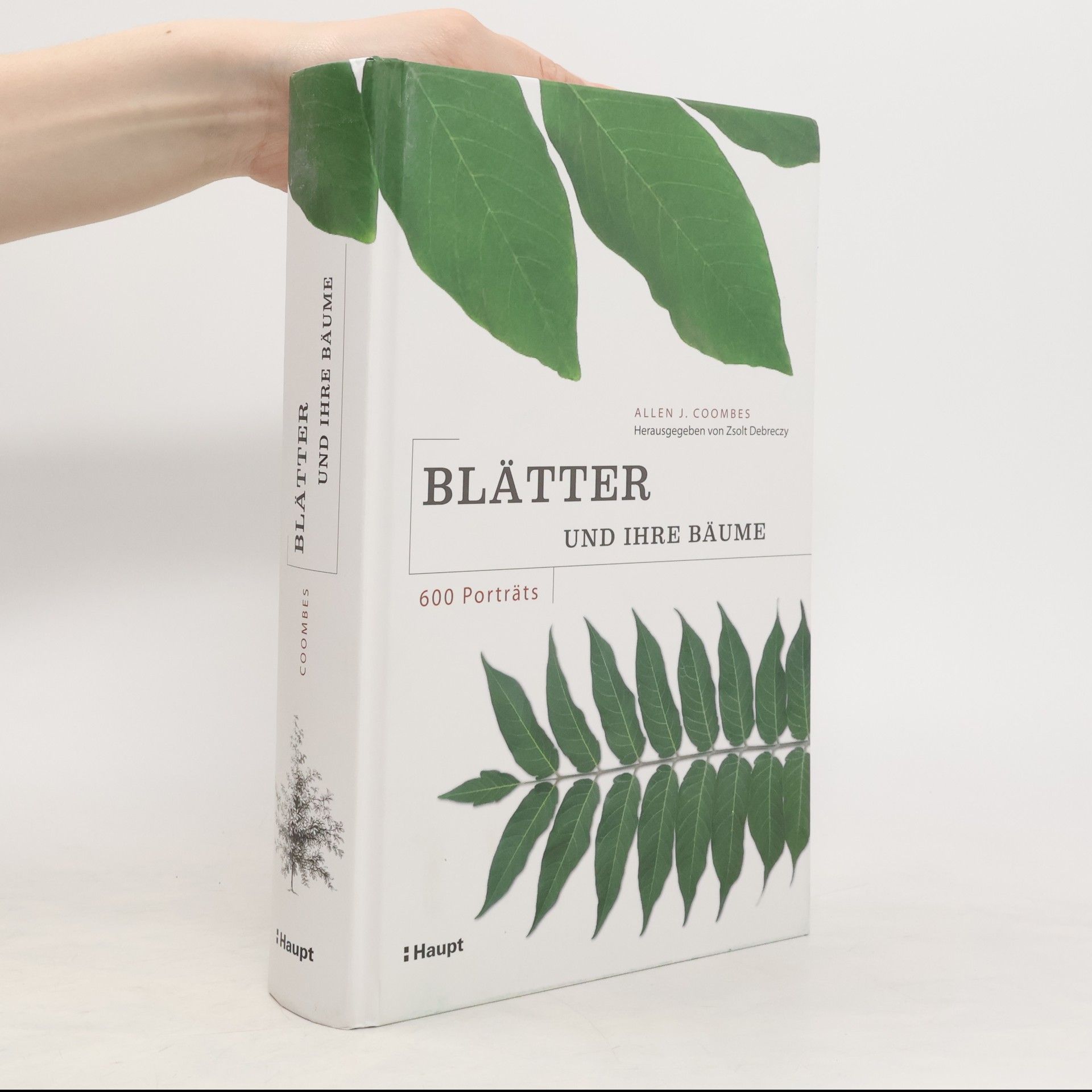 Allen J. Coombes Blätter und ihre Bäume