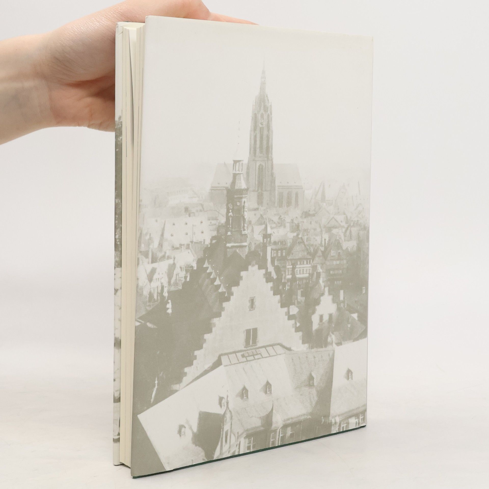 Walter Gerteis Das unbekannte Frankfurt