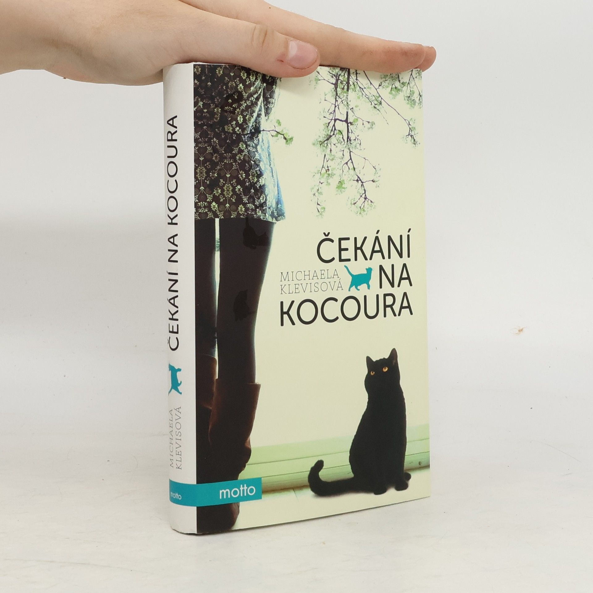 Michaela Klevisová Čekání na kocoura: Příběhy o kočkách a jejich lidech