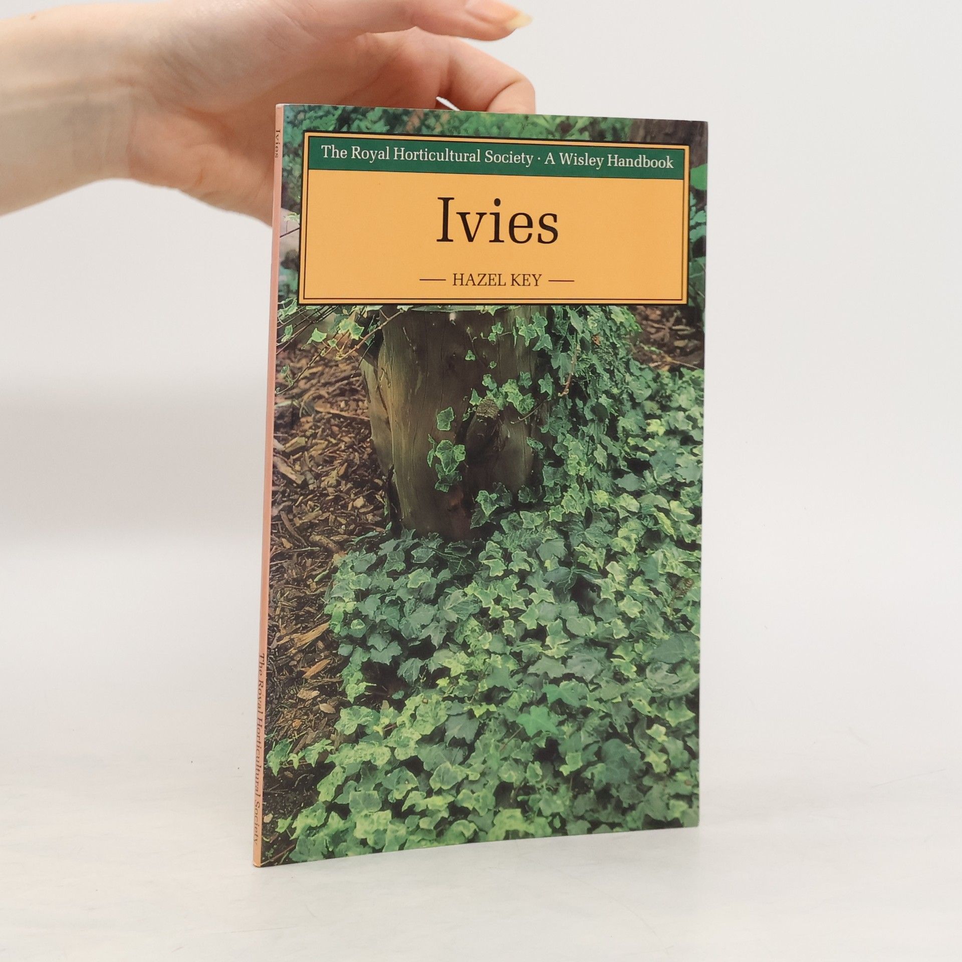 Hazel Key Ivies