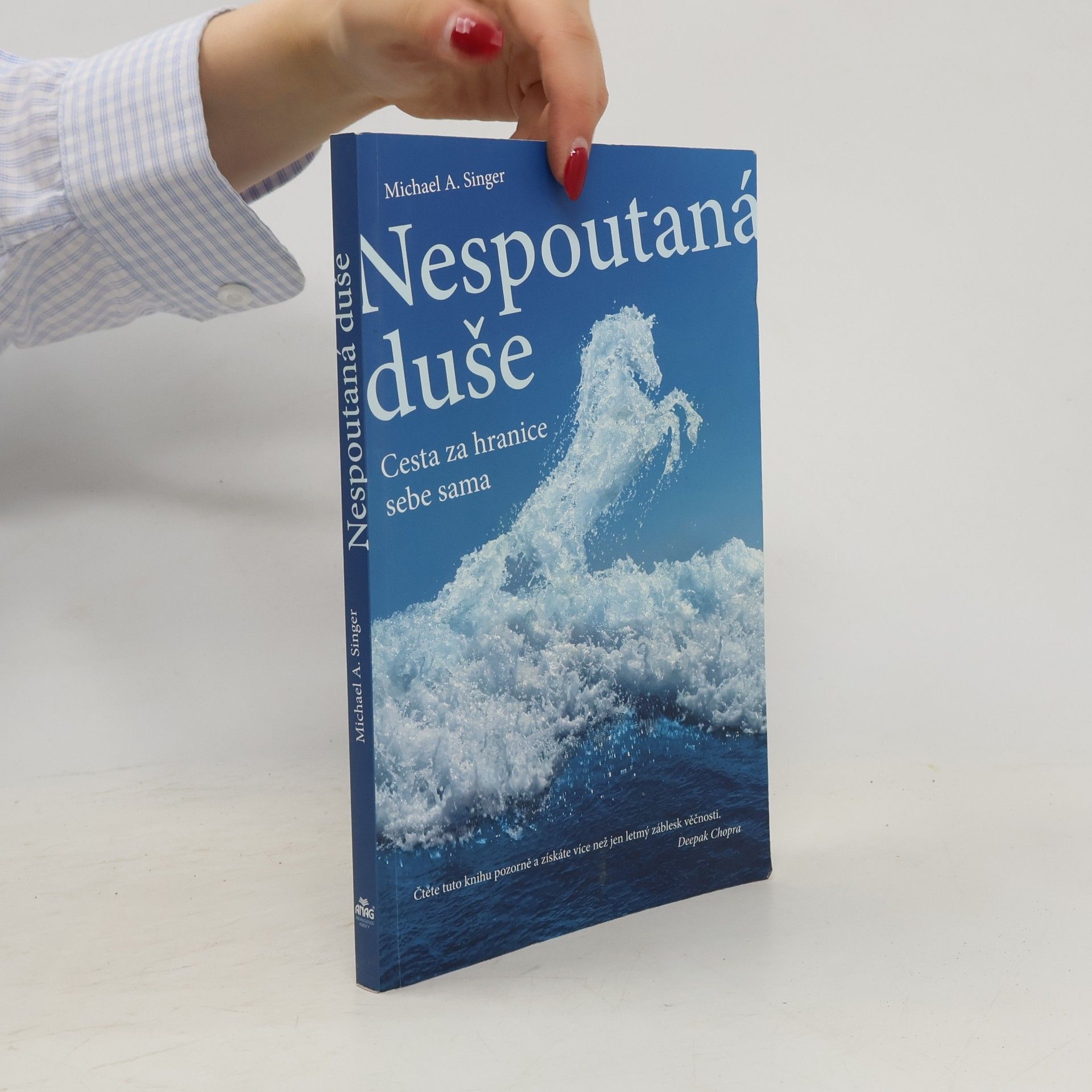 Michael A. Singer Nespoutaná duše