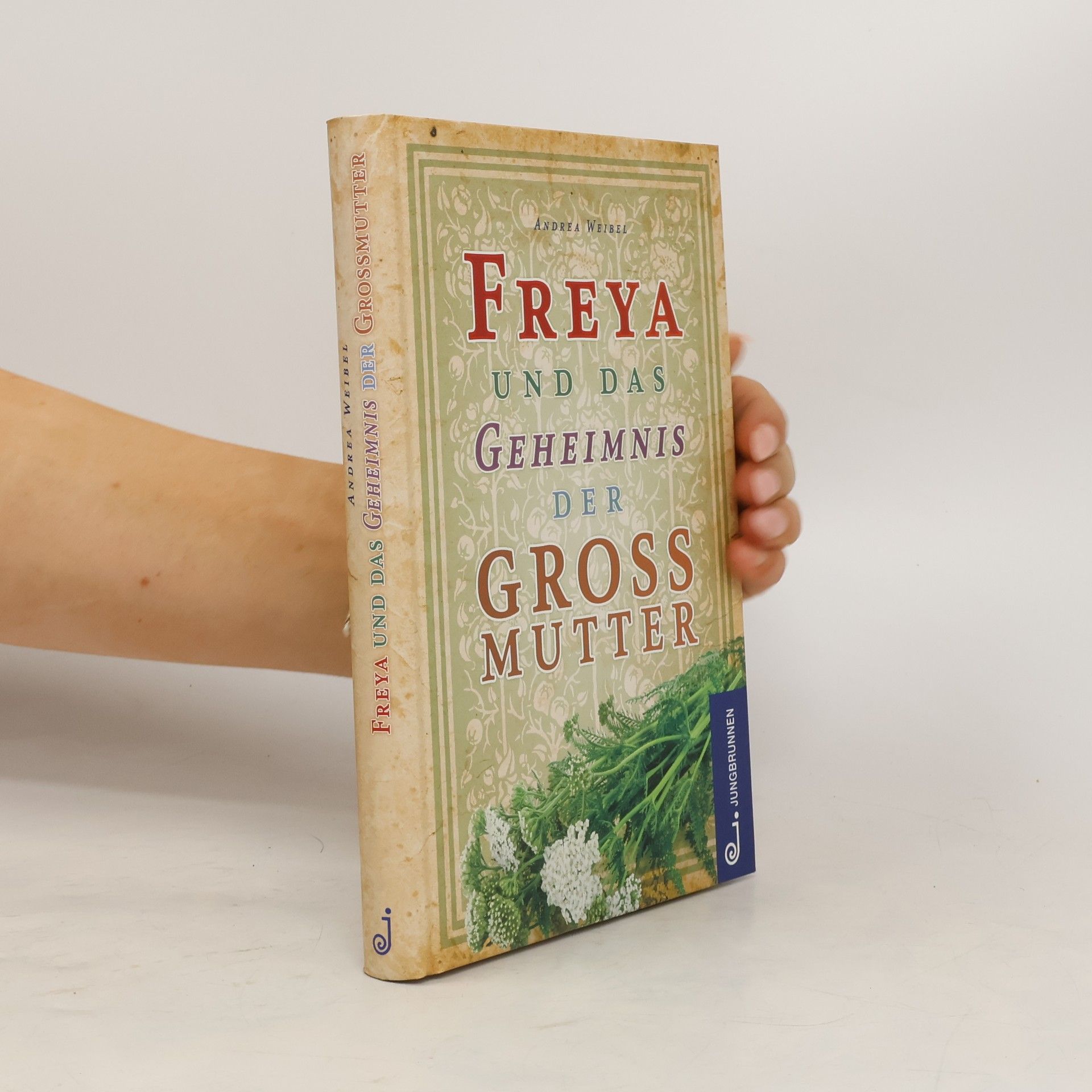 Andrea Weibel Freya und das Geheimnis der Großmutter