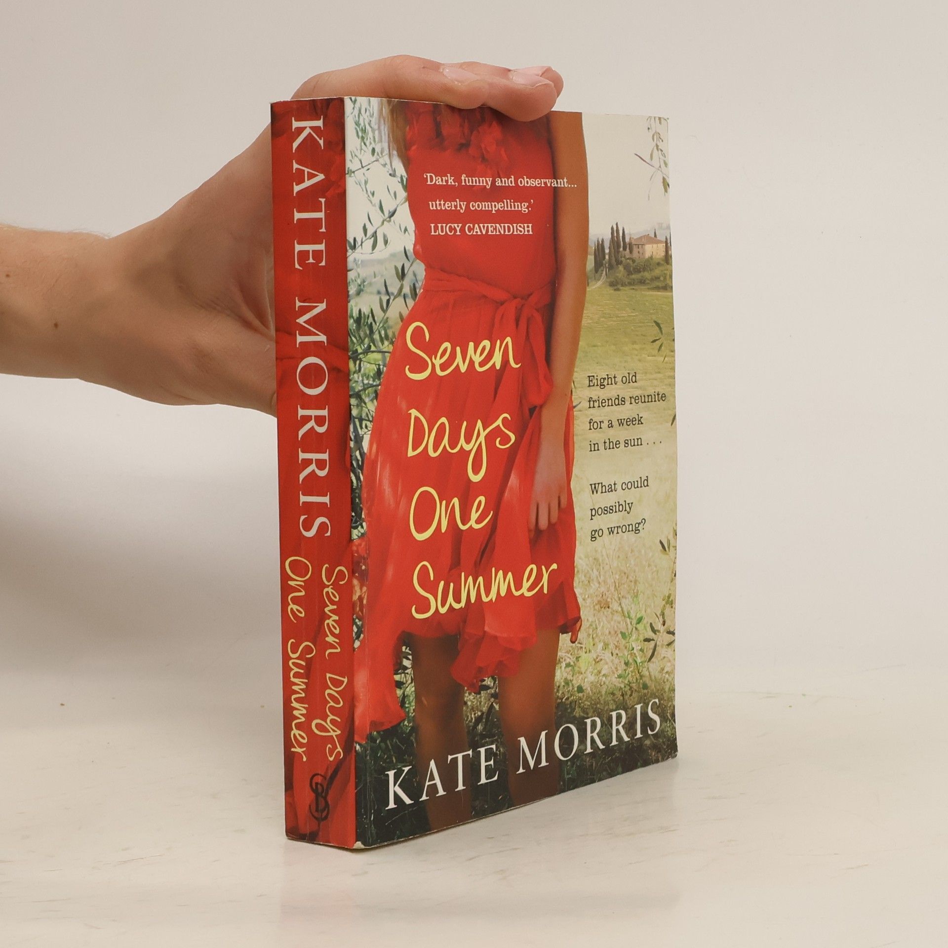 Kate Morris Seven Days One Summer