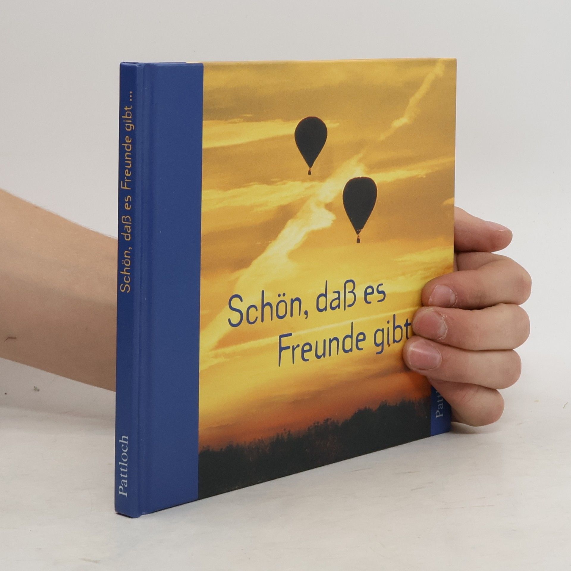 Vera Stein Schön, dass es Freunde gibt ... Freunde wie dich