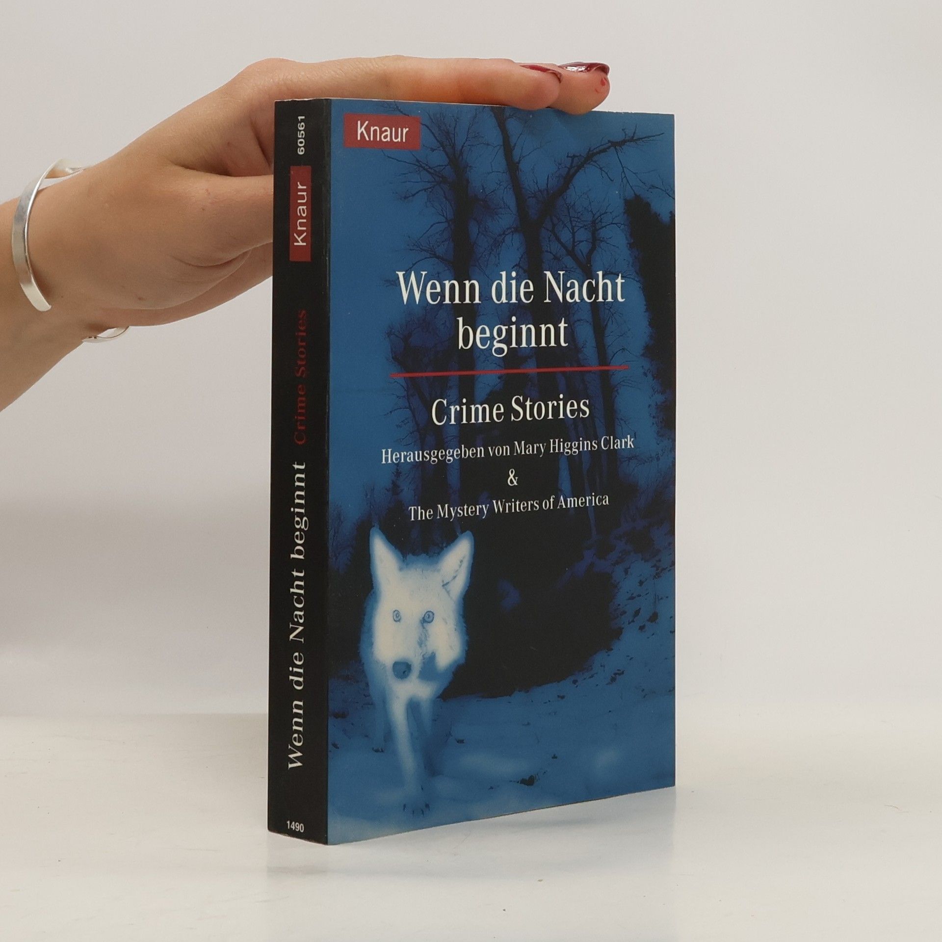 Mary Higgins Clark Wenn die Nacht beginnt