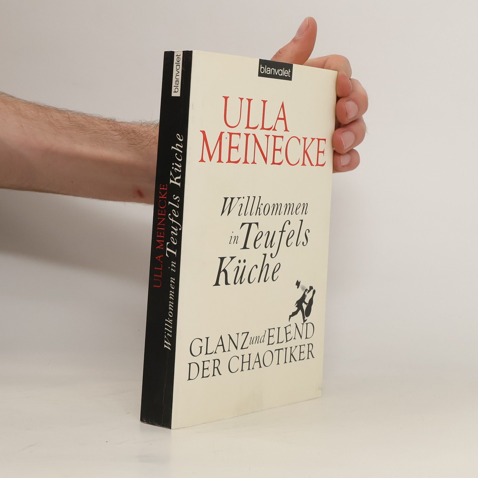 Ulla Meinecke Willkommen in Teufels Küche