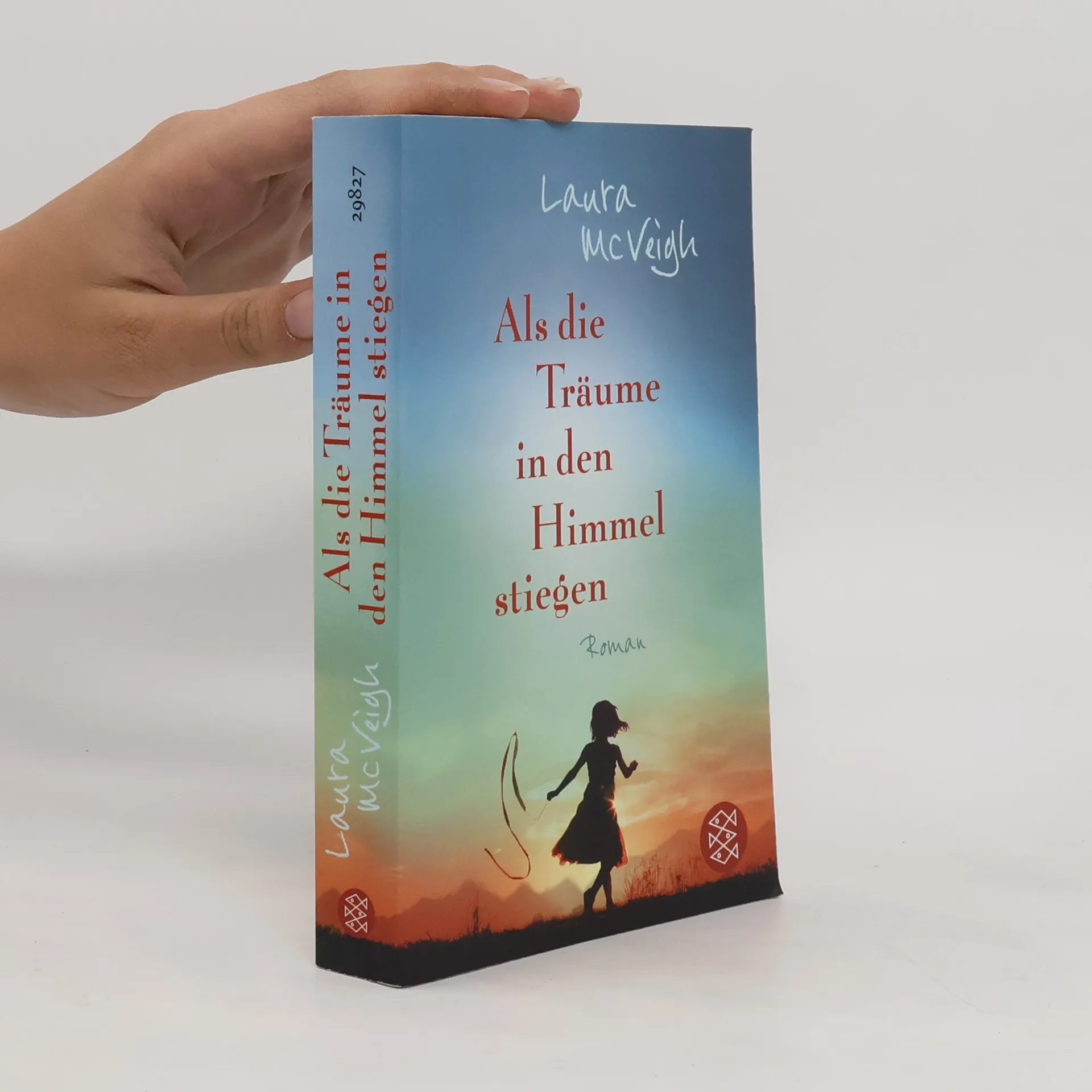 Als die Träume in den Himmel stiegen | Buch | Laura McVeigh