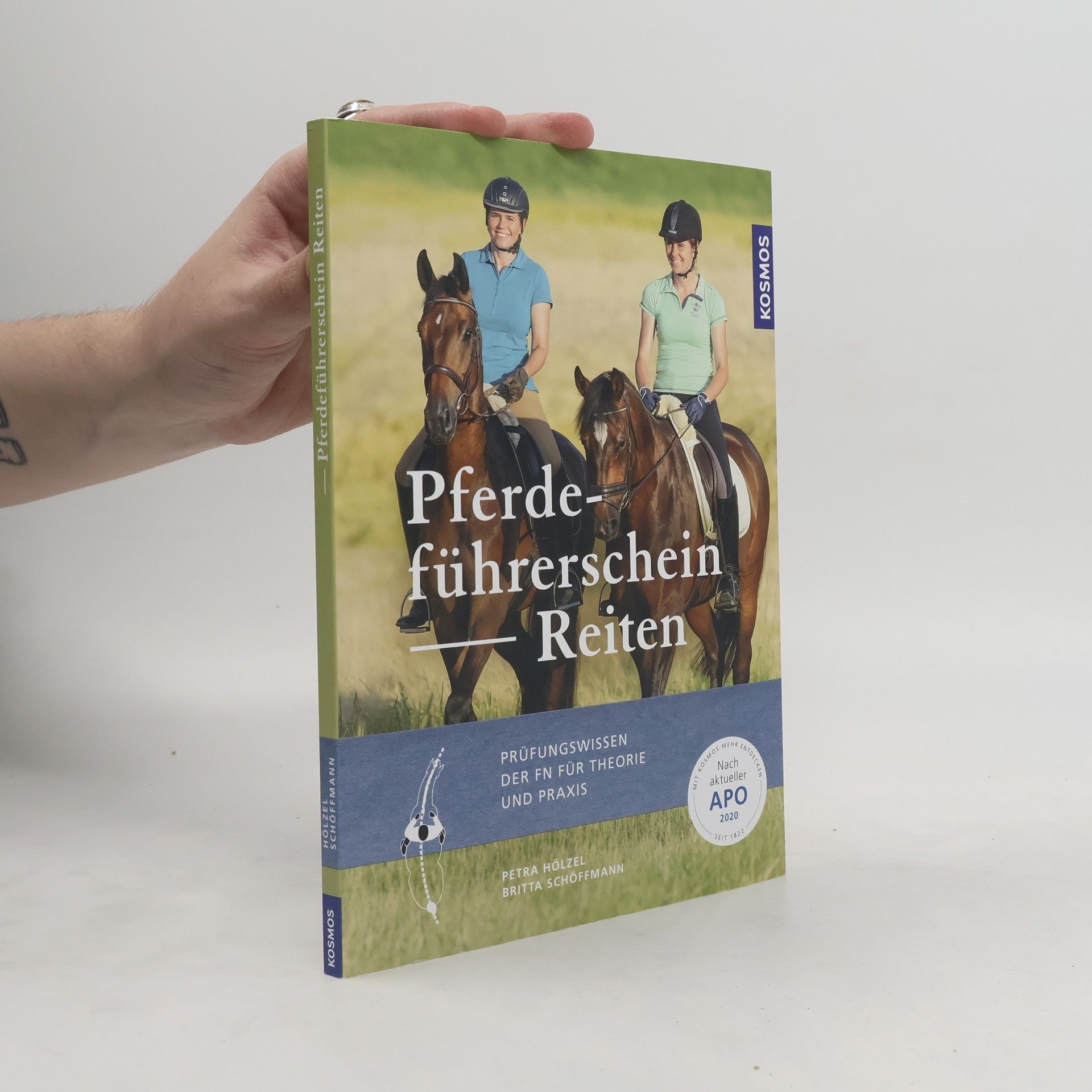 Petra Hölzel Pferdeführerschein Reiten