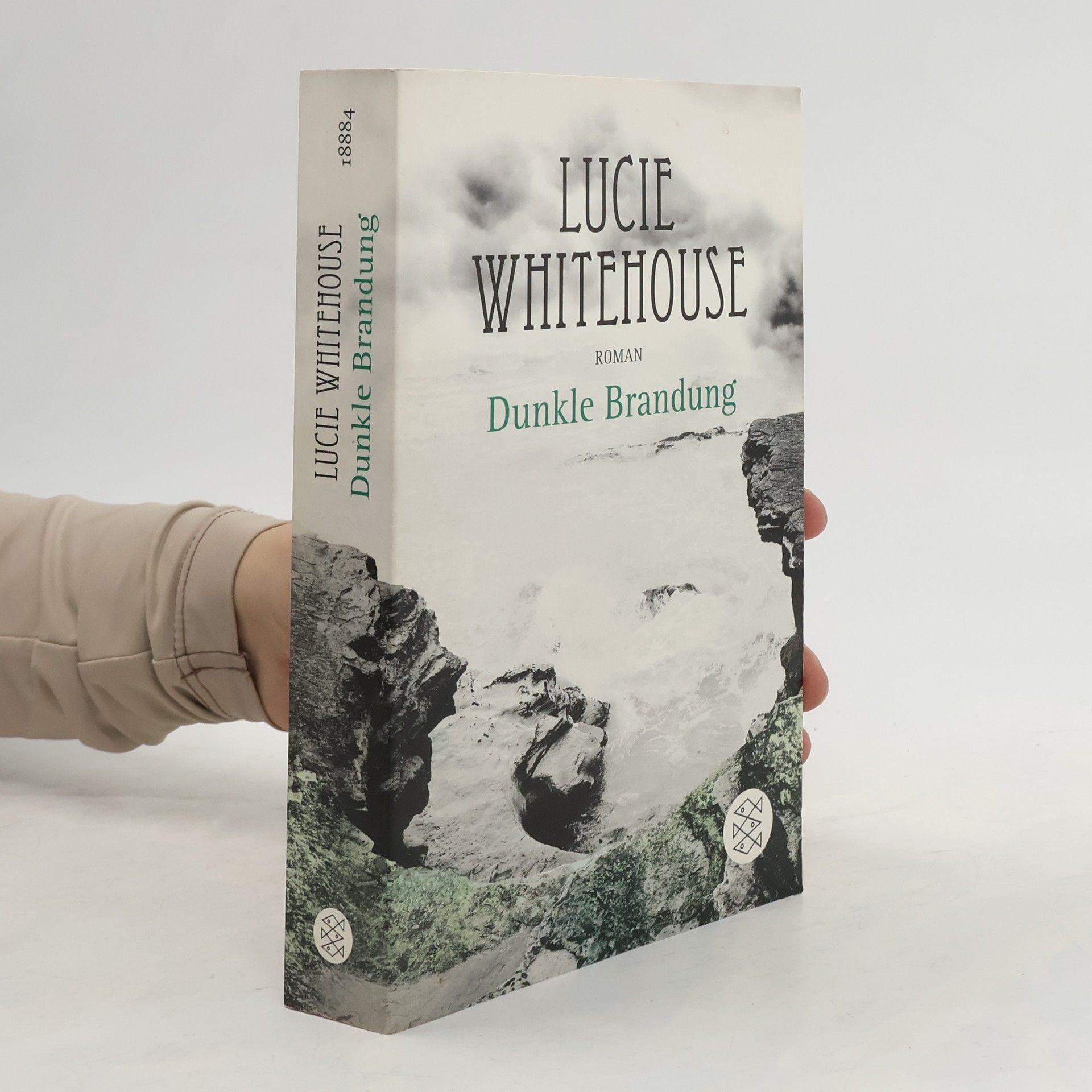 Lucie Whitehouse Dunkle Brandung