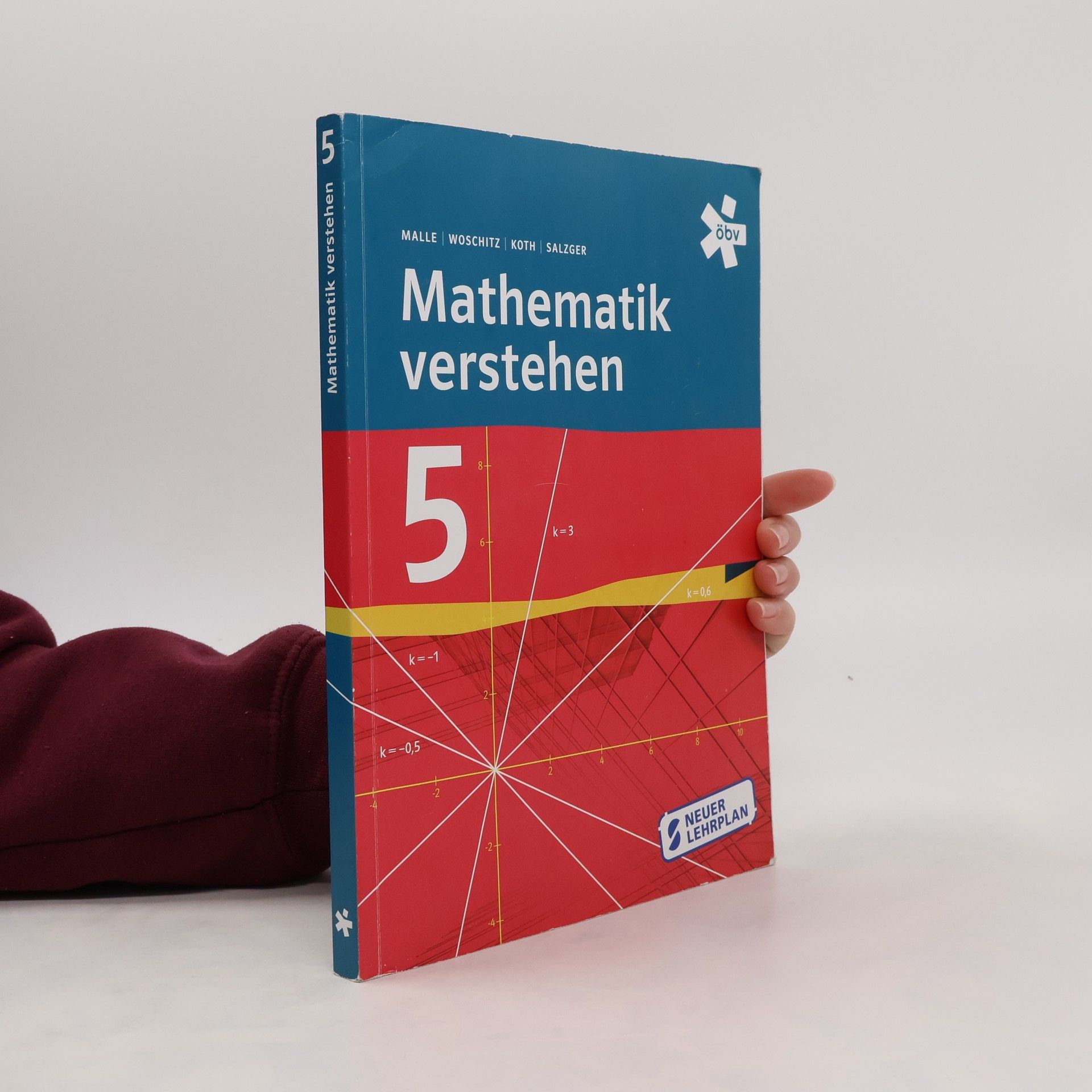 Günther Malle Mathematik verstehen 5