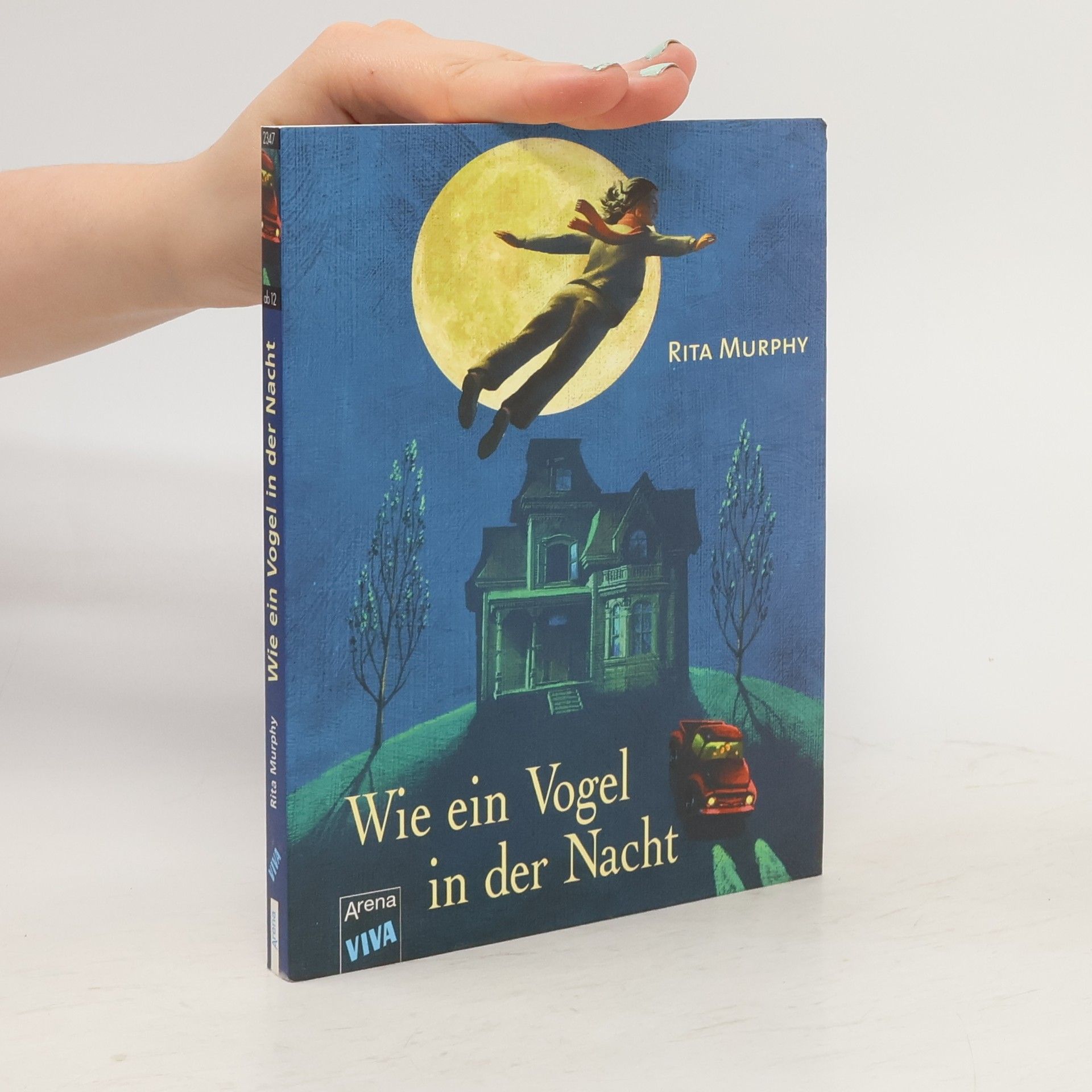 Rita Murphy Wie ein Vogel in der Nacht