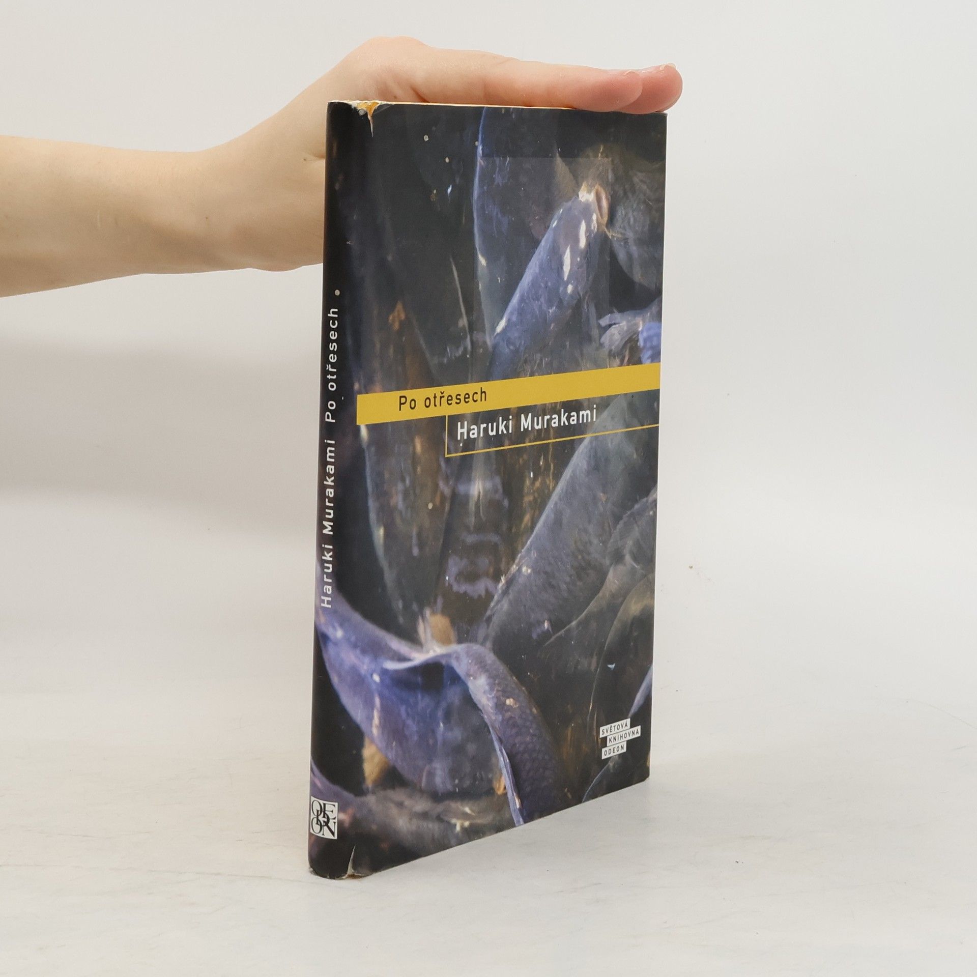 Haruki Murakami Po otřesech
