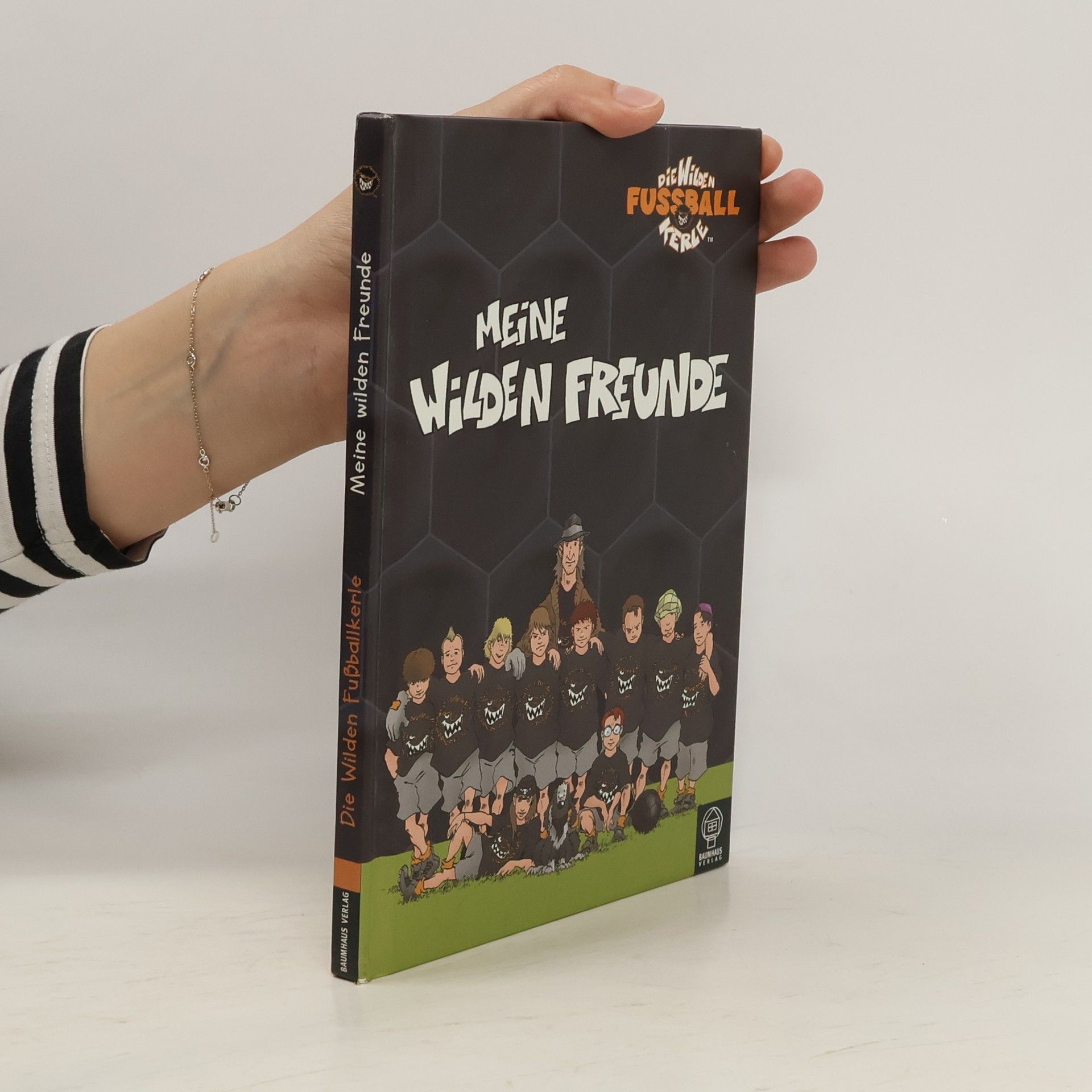 Joachim Masannek Meine Wilden Freunde