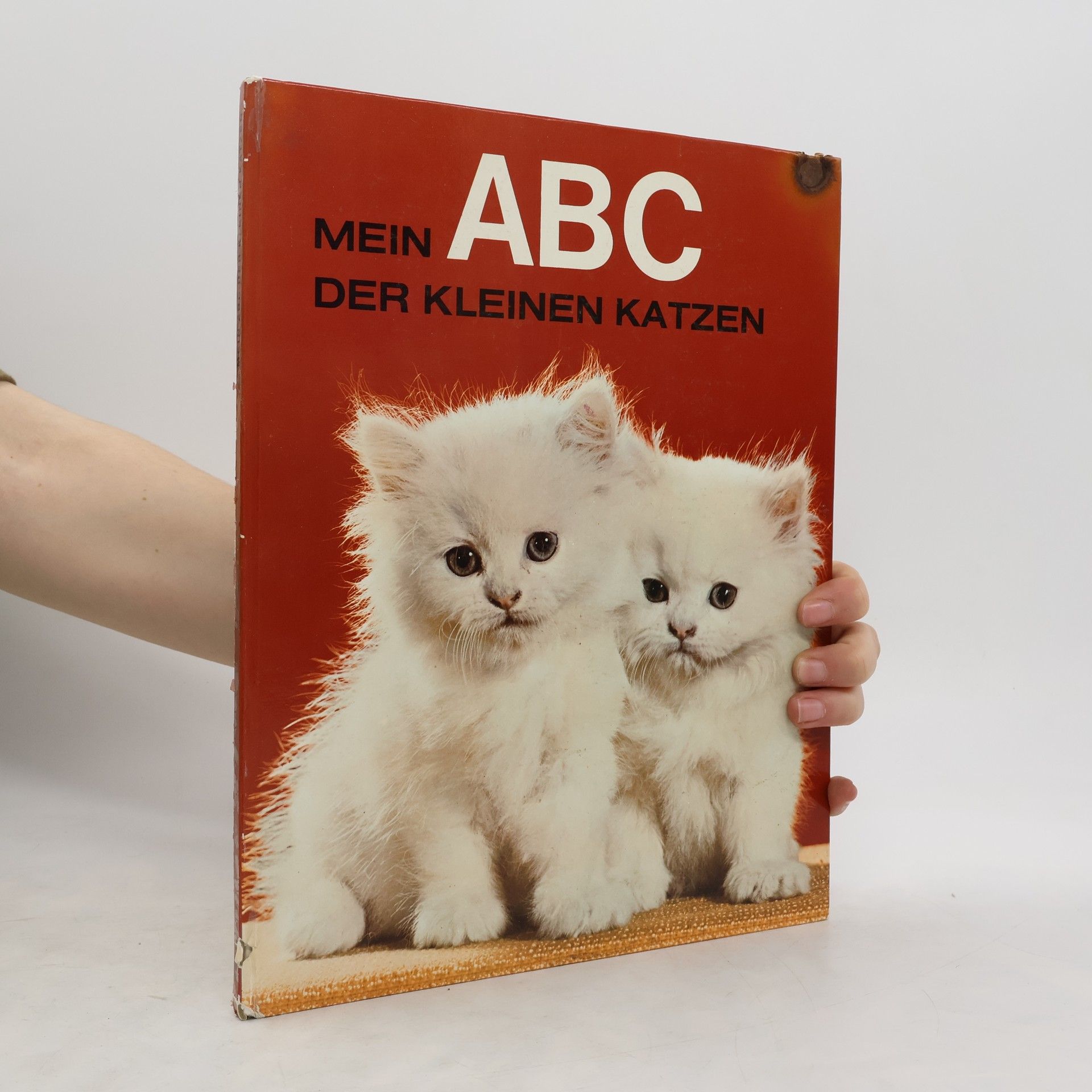 kolektiv Mein ABC der kleinen Katzen