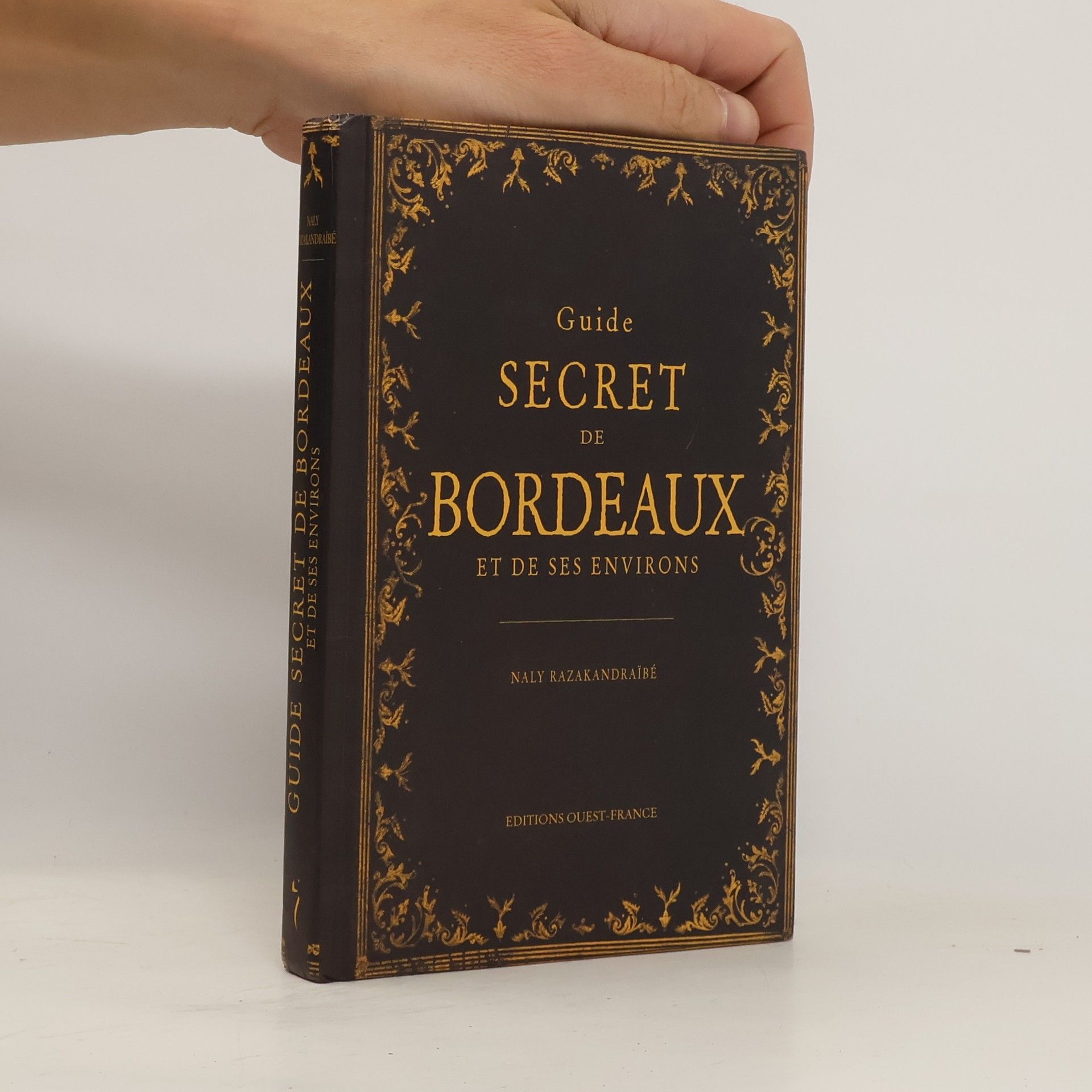 Naly Razakandraïbé Guide secret de Bordeaux et de ses environs