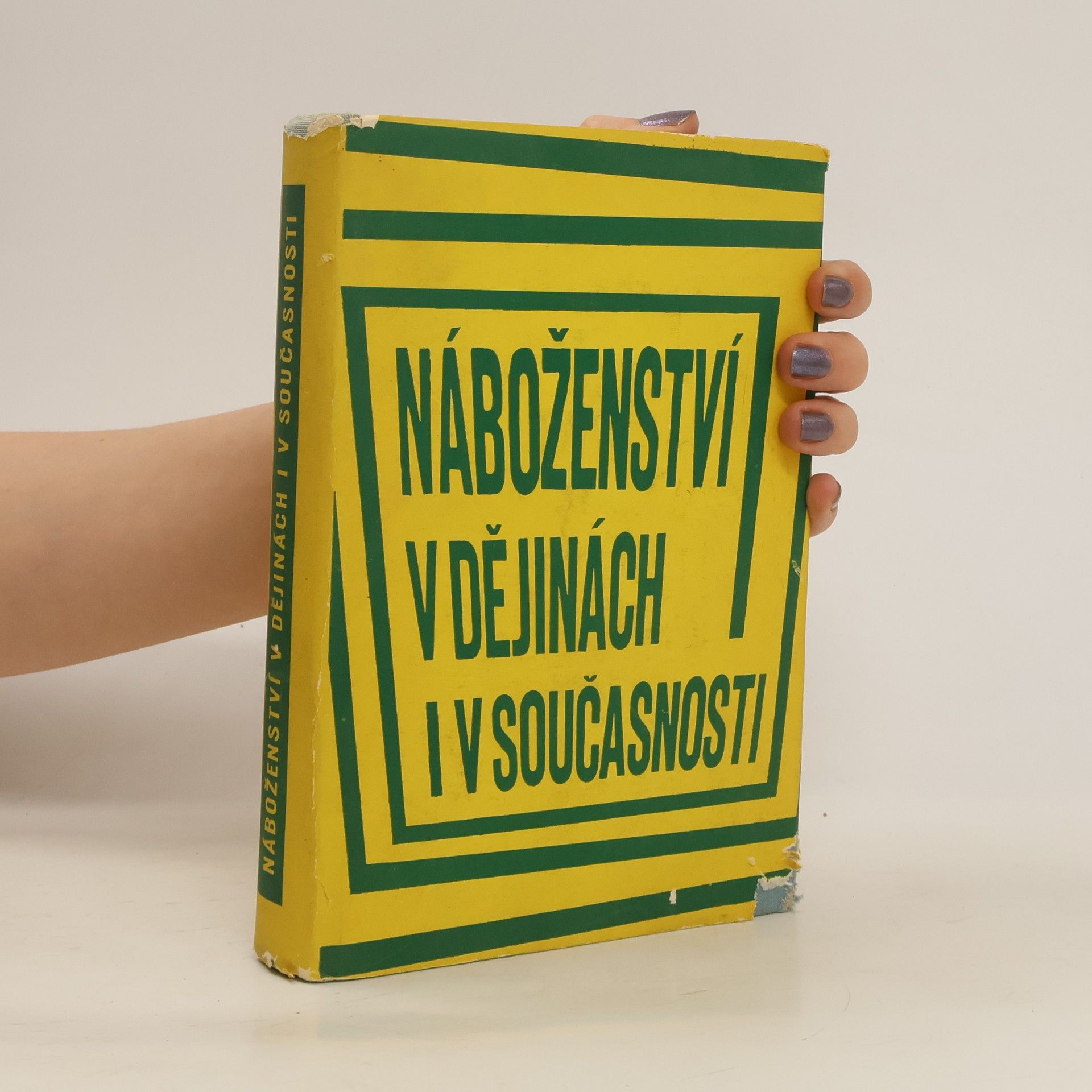Autorenkollektiv Náboženství v dějinách i v současnosti