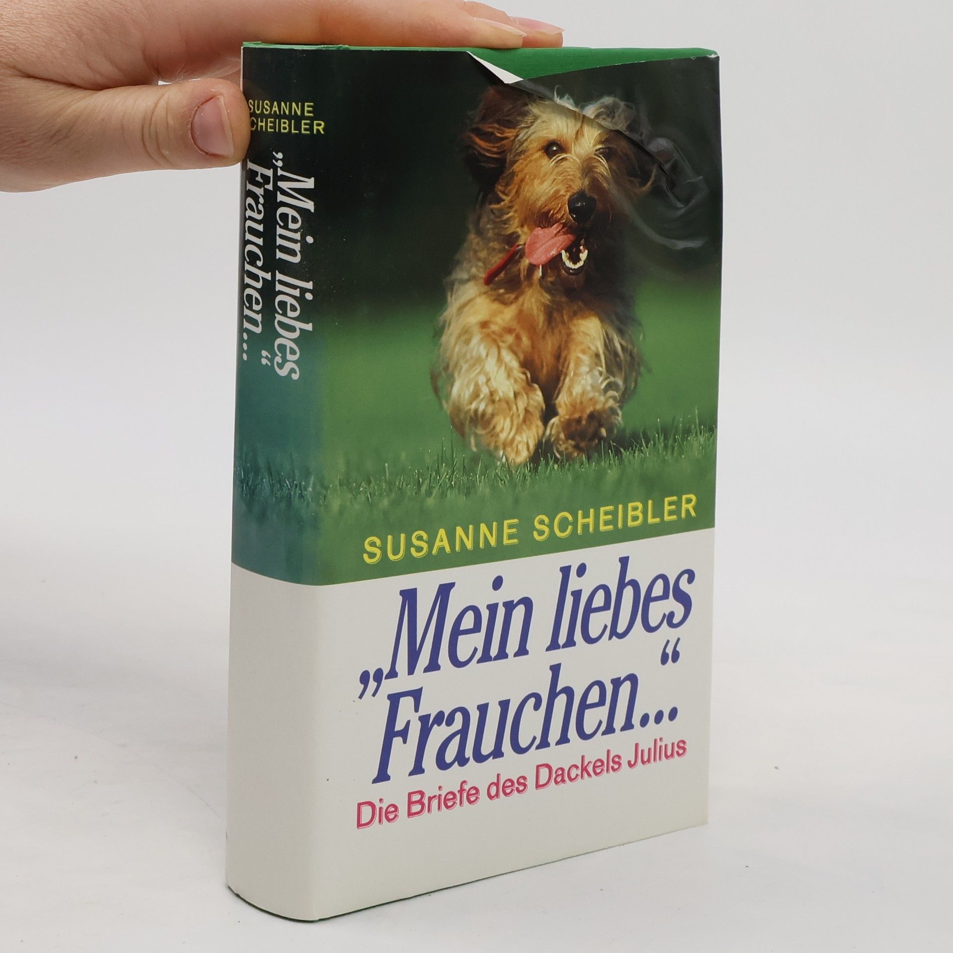 Susanne Scheibler Mein liebes Frauchen