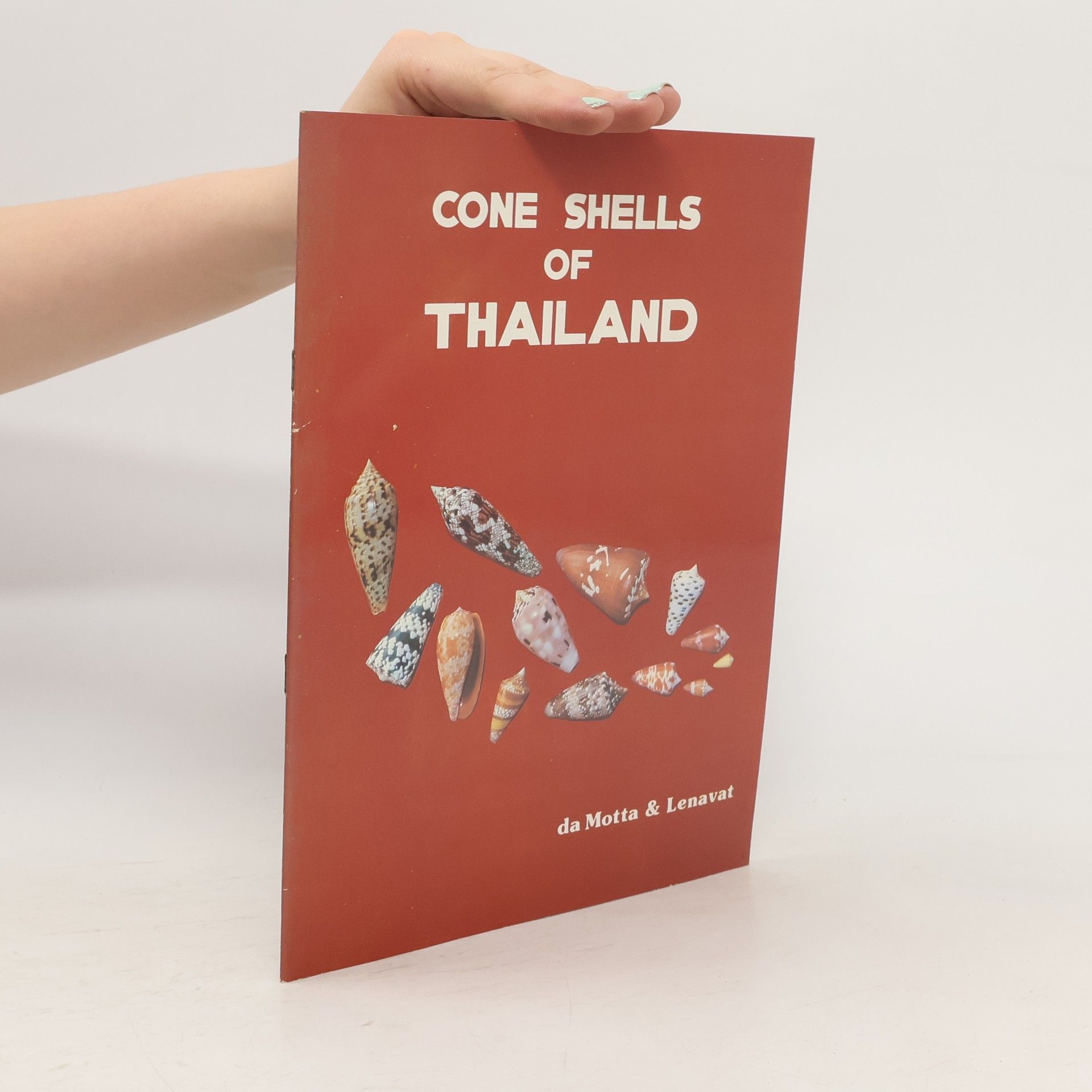 Autores varios Cone Shells of Thailand
