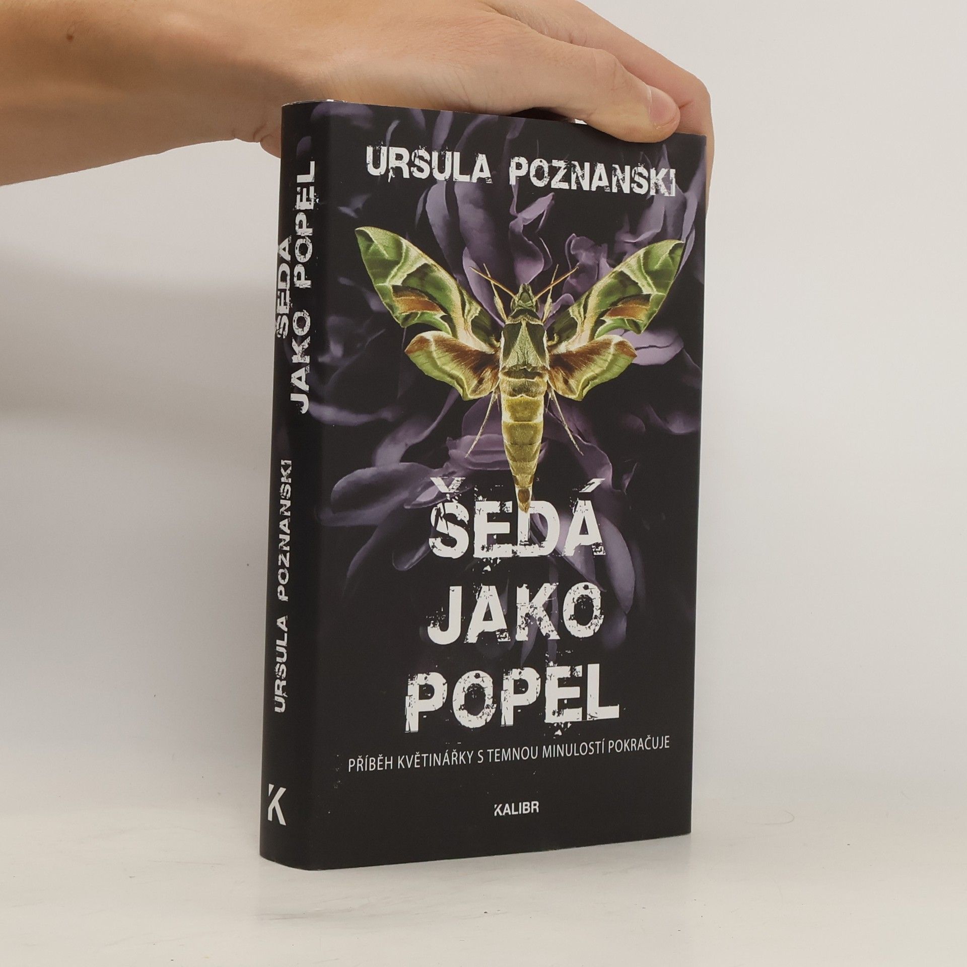Ursula Poznanski Šedá jako popel
