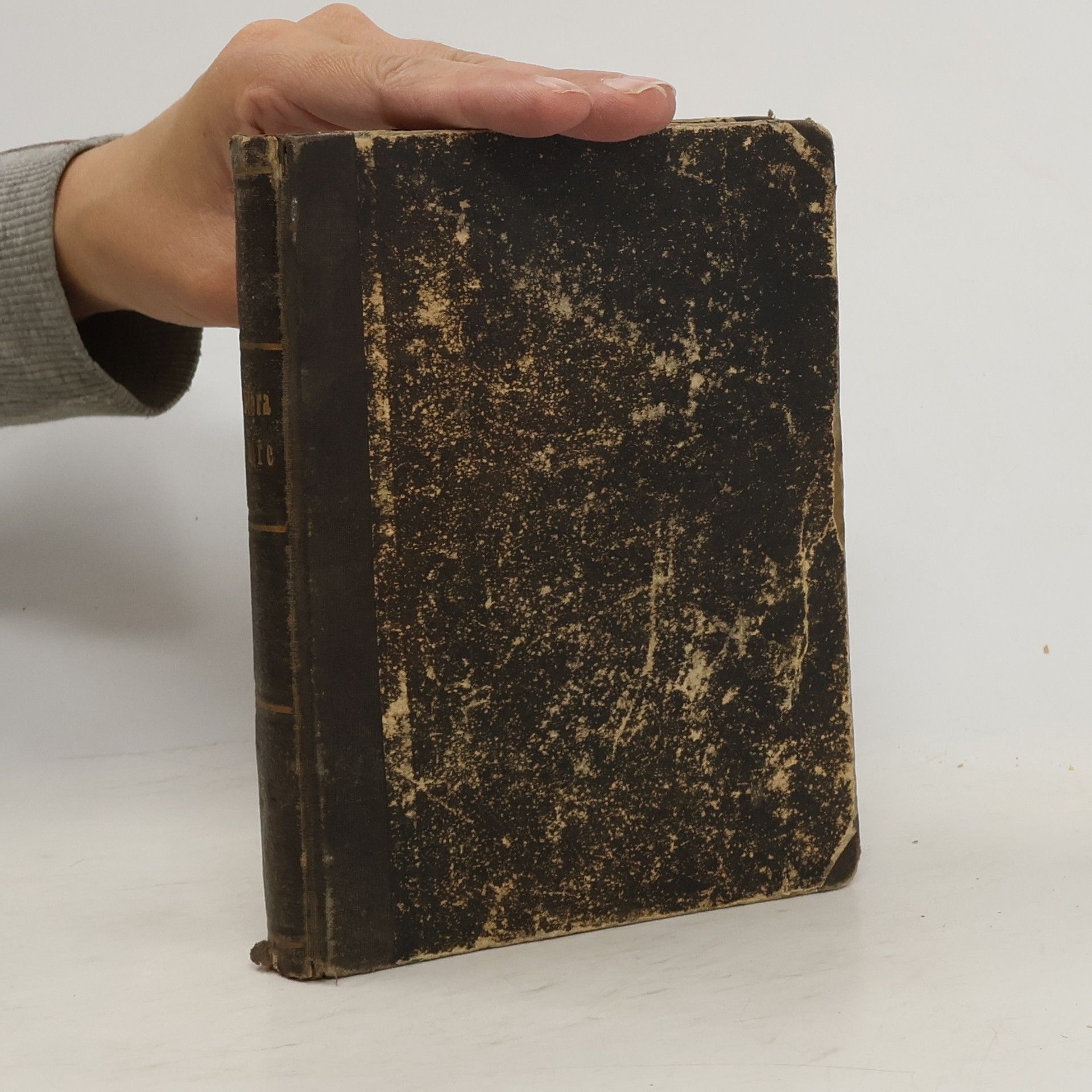 G. Schjörringové Dcera moře