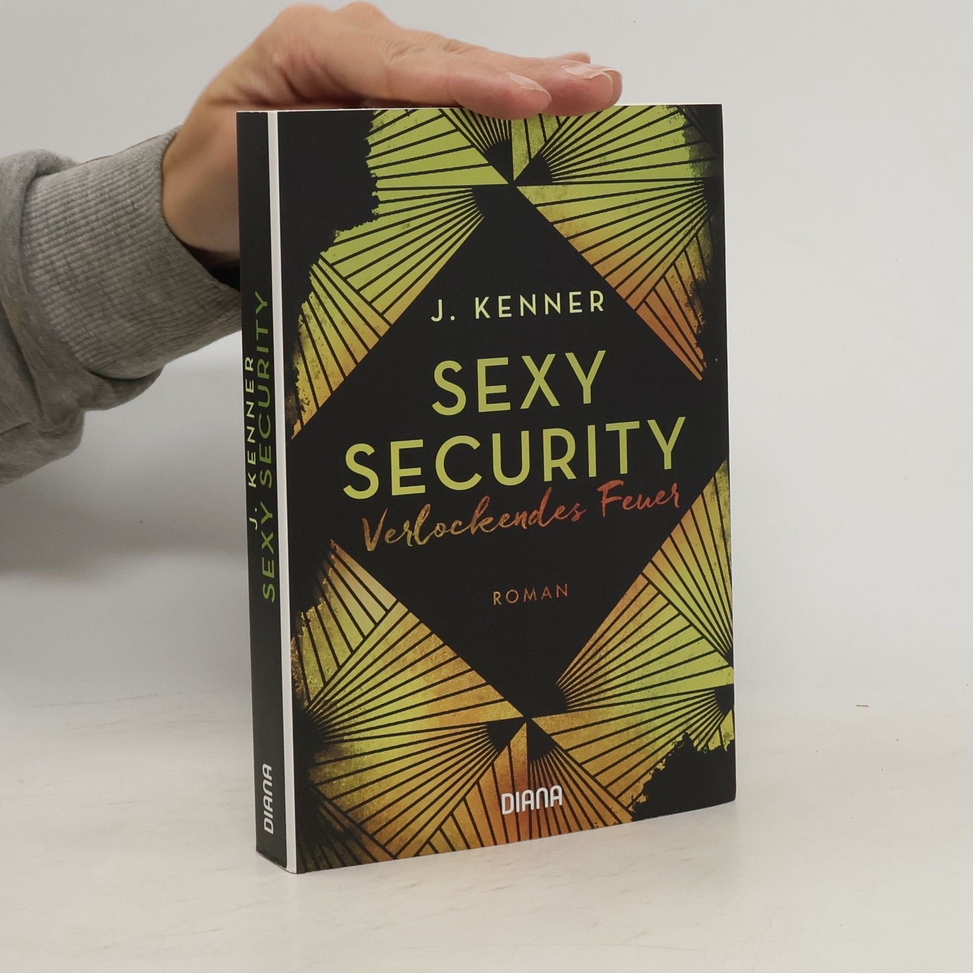 Julie Kenner Sexy Security: Verlockendes Feuer