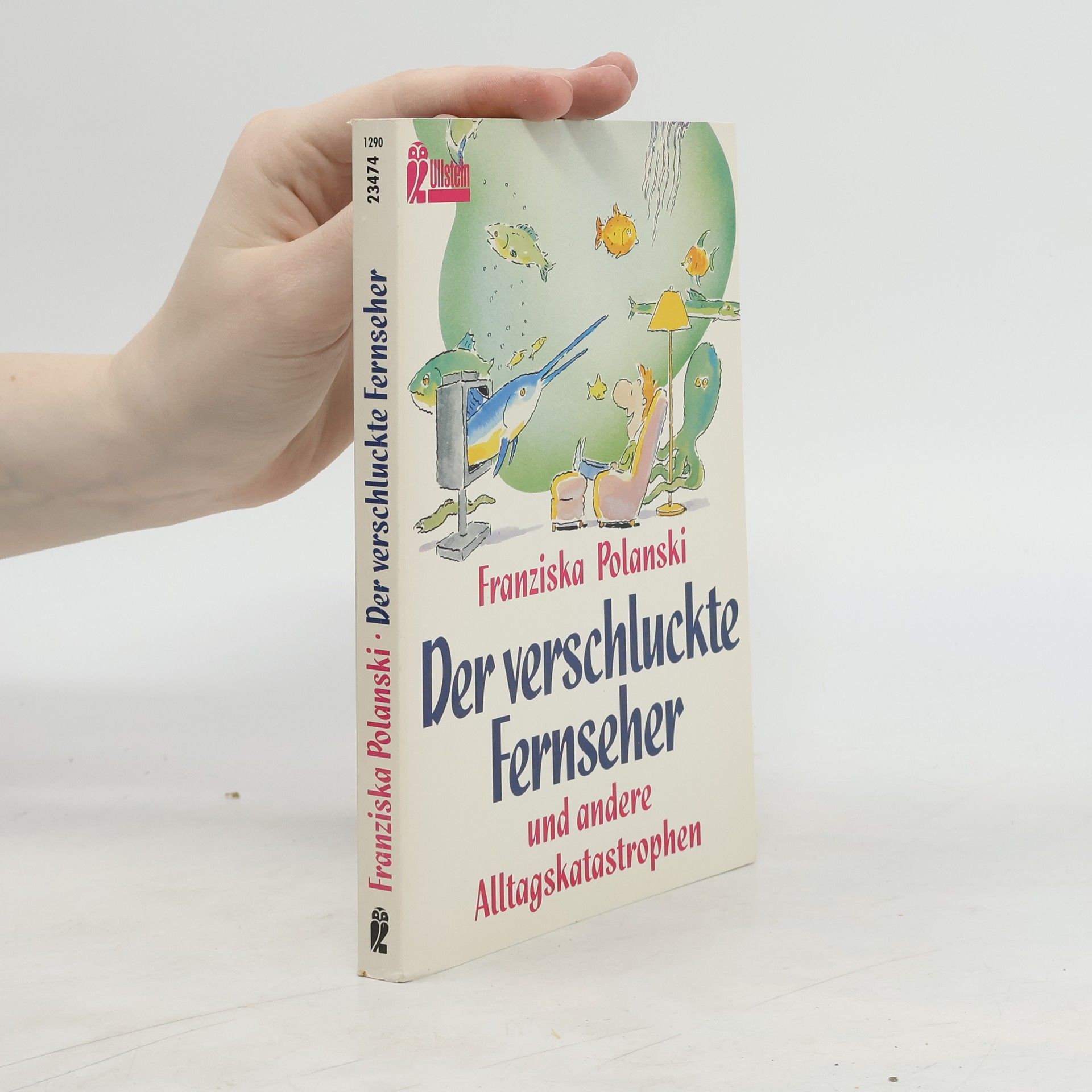 Franziska Polanski Der verschluckte Fernseher und andere Alltagskatastrophen
