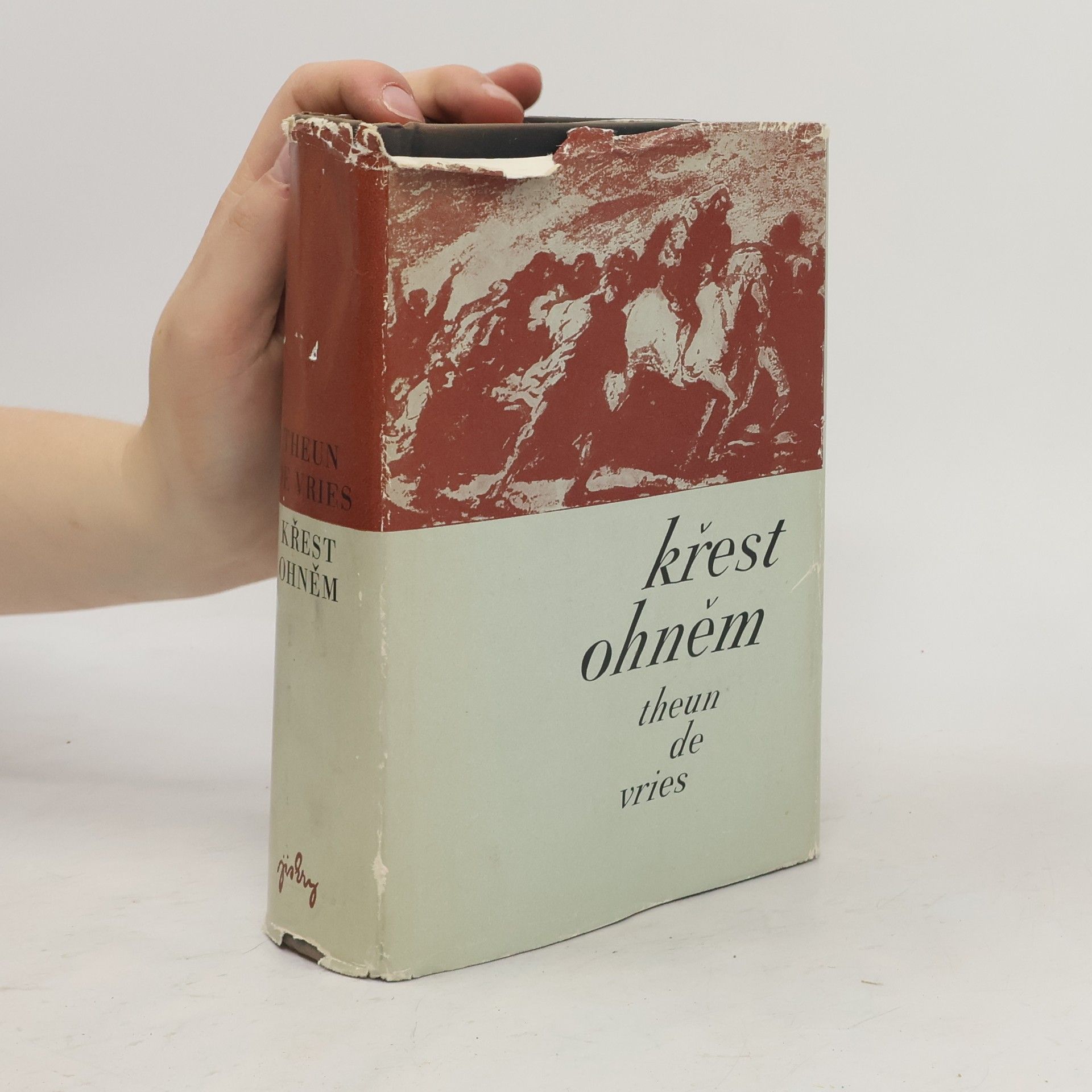 Theun de Vries Křest ohněm