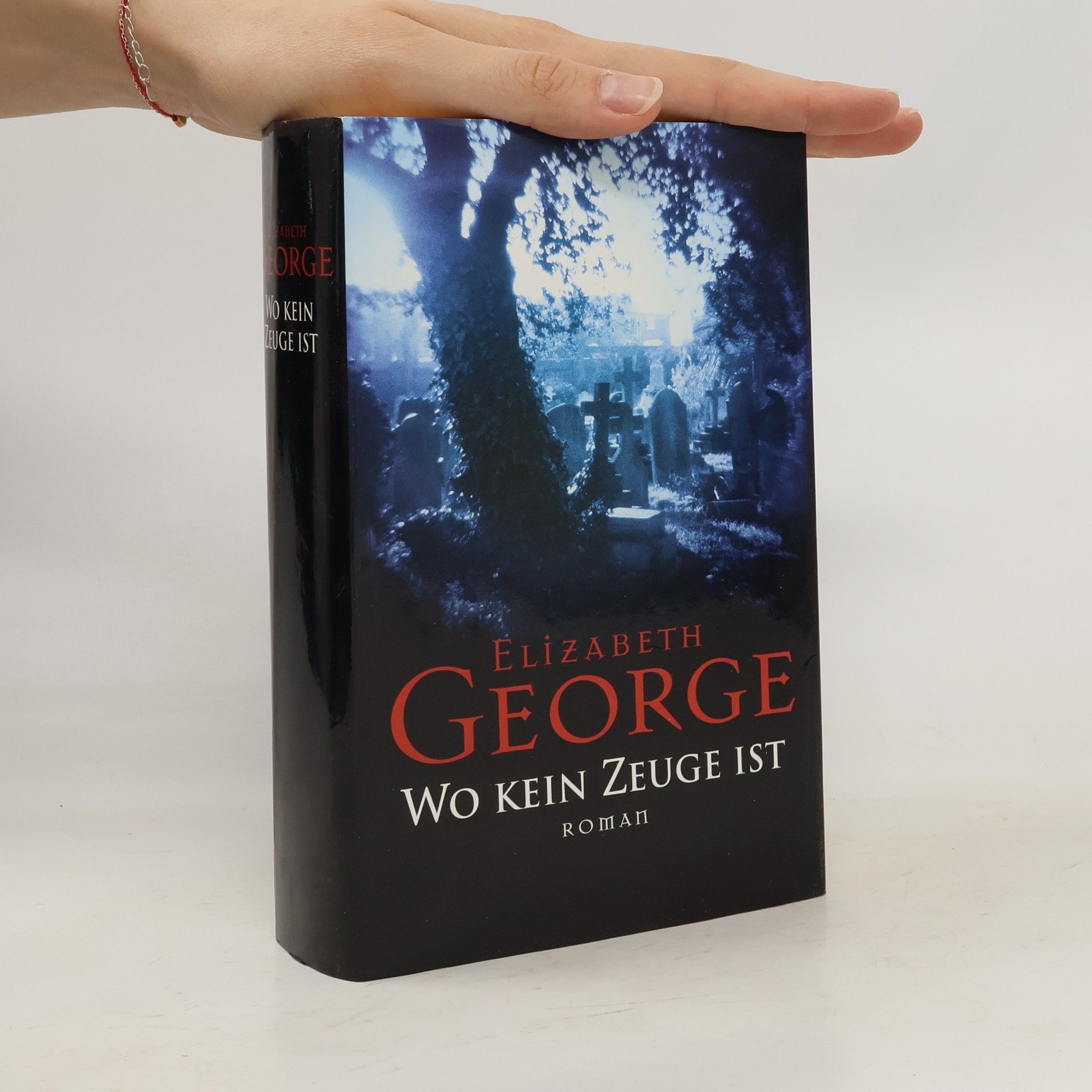 Elizabeth George Wo kein Zeuge ist