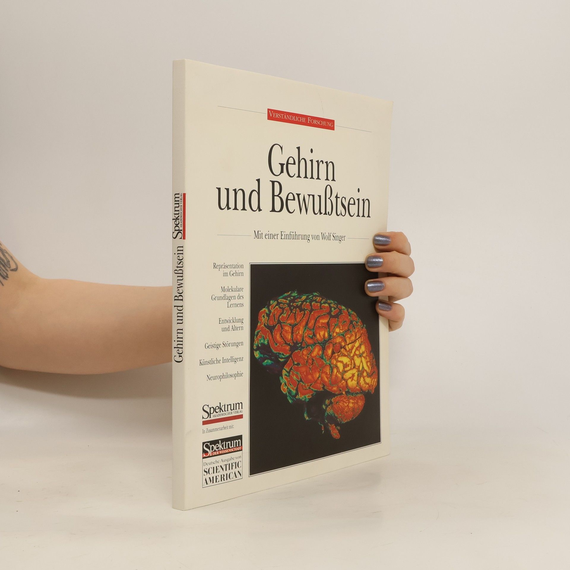 Wolf Singer Gehirn und Bewusstsein