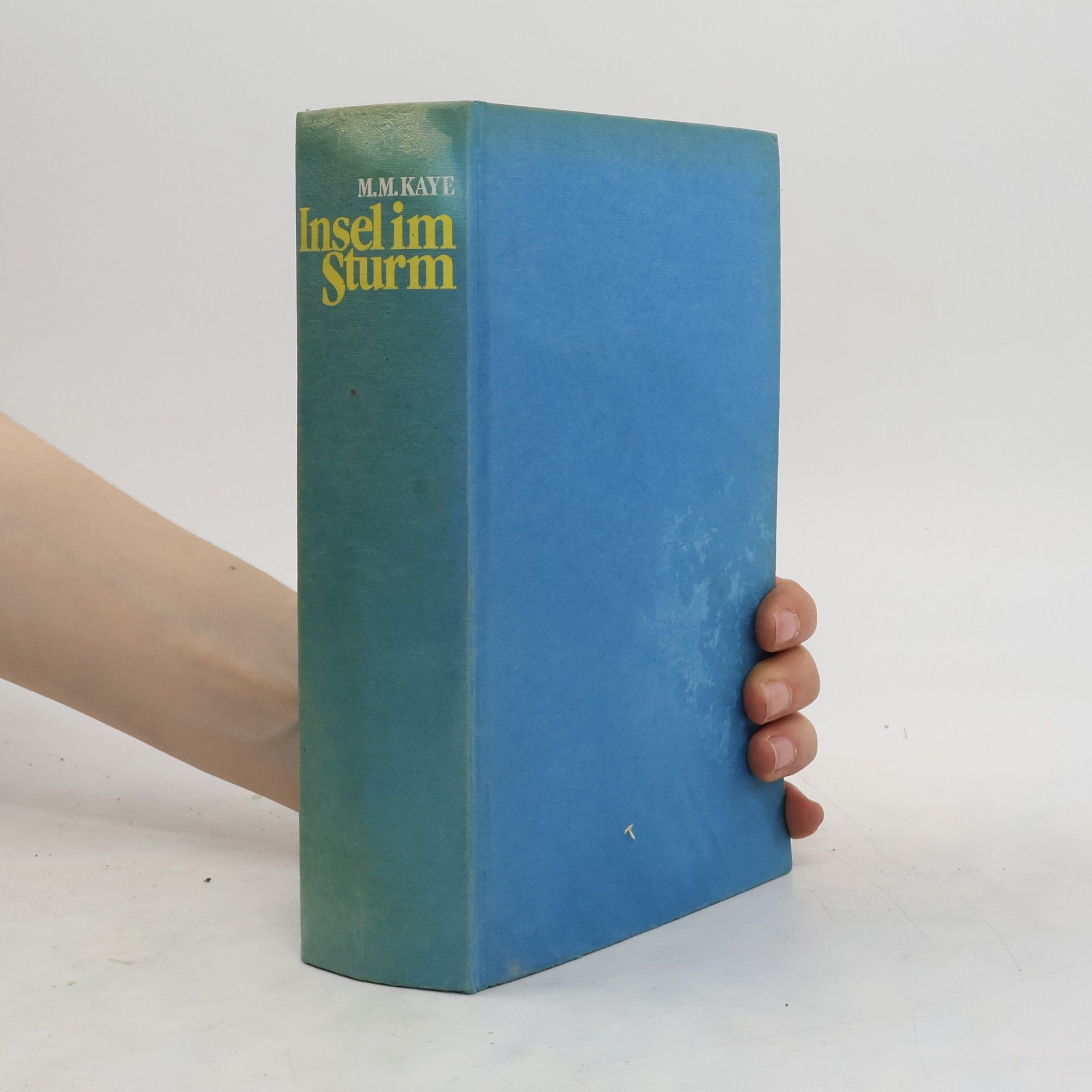 Mary M. Kaye Insel im Sturm