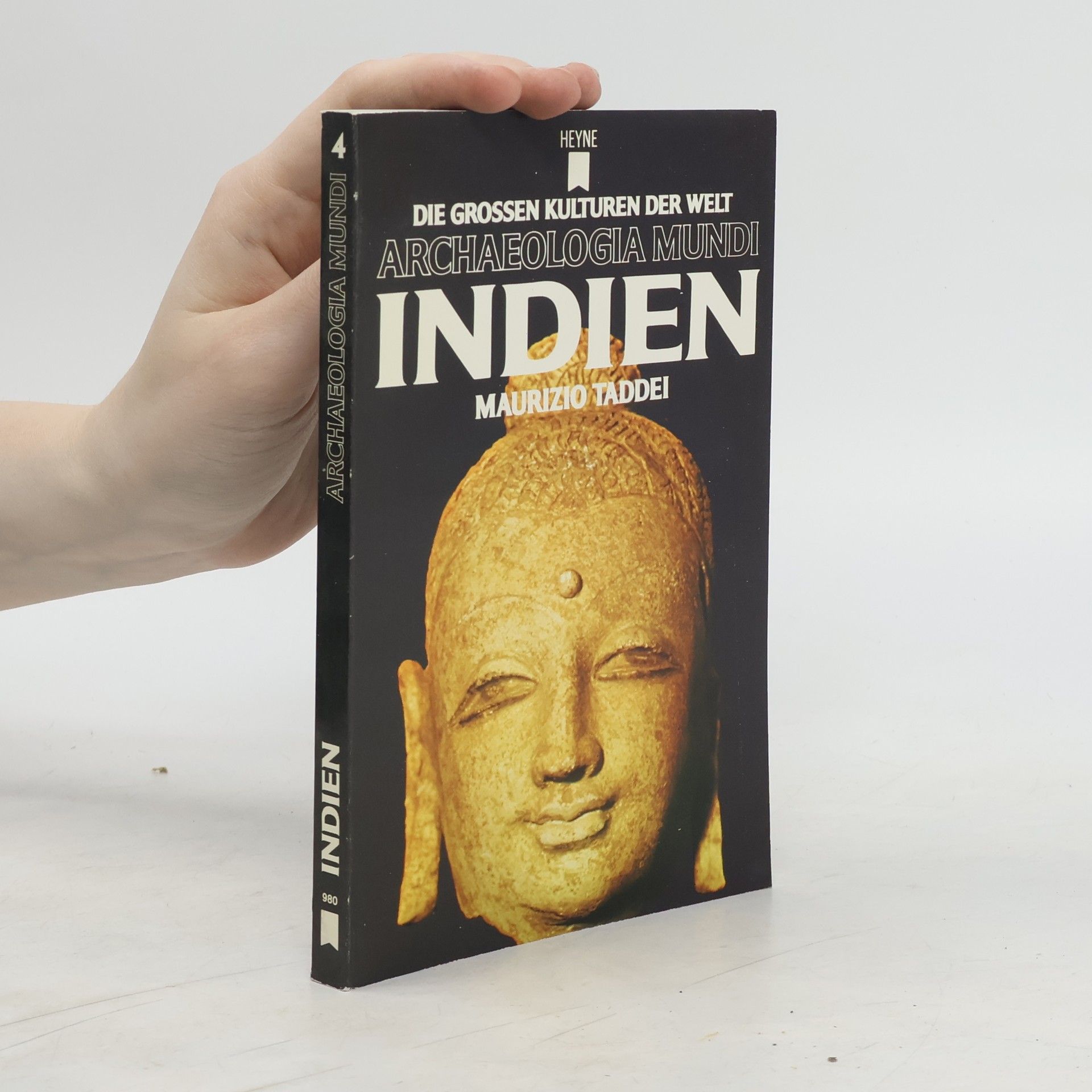 Maurizio Taddei Indien