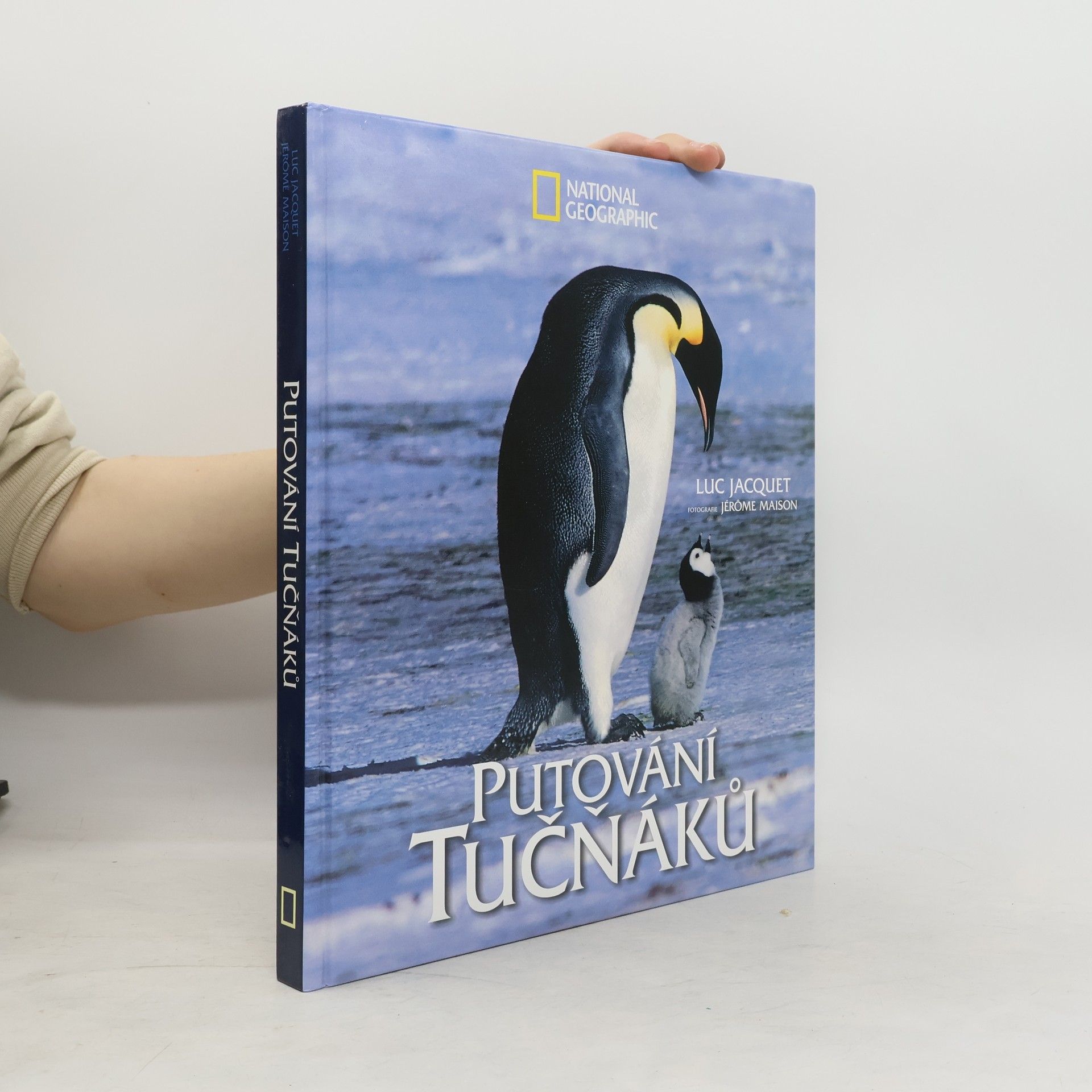 Collective Putování tučňáků