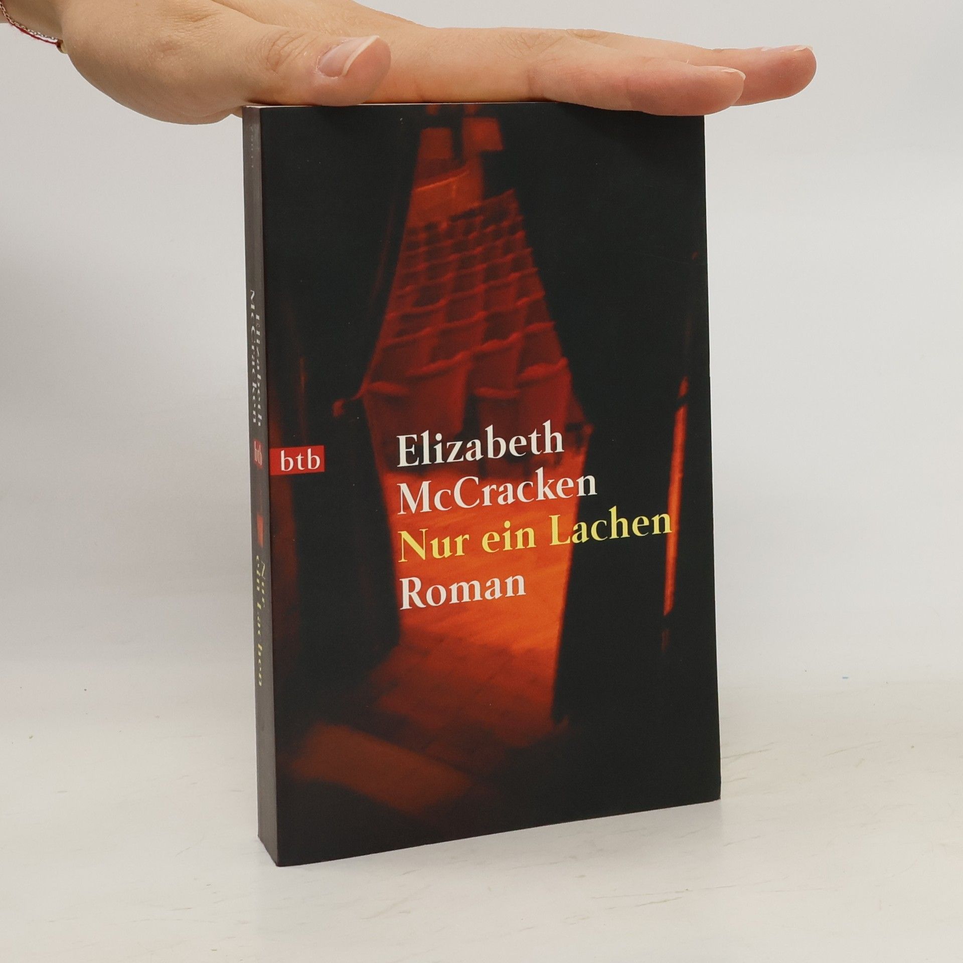 Elizabeth McCracken Nur ein Lachen