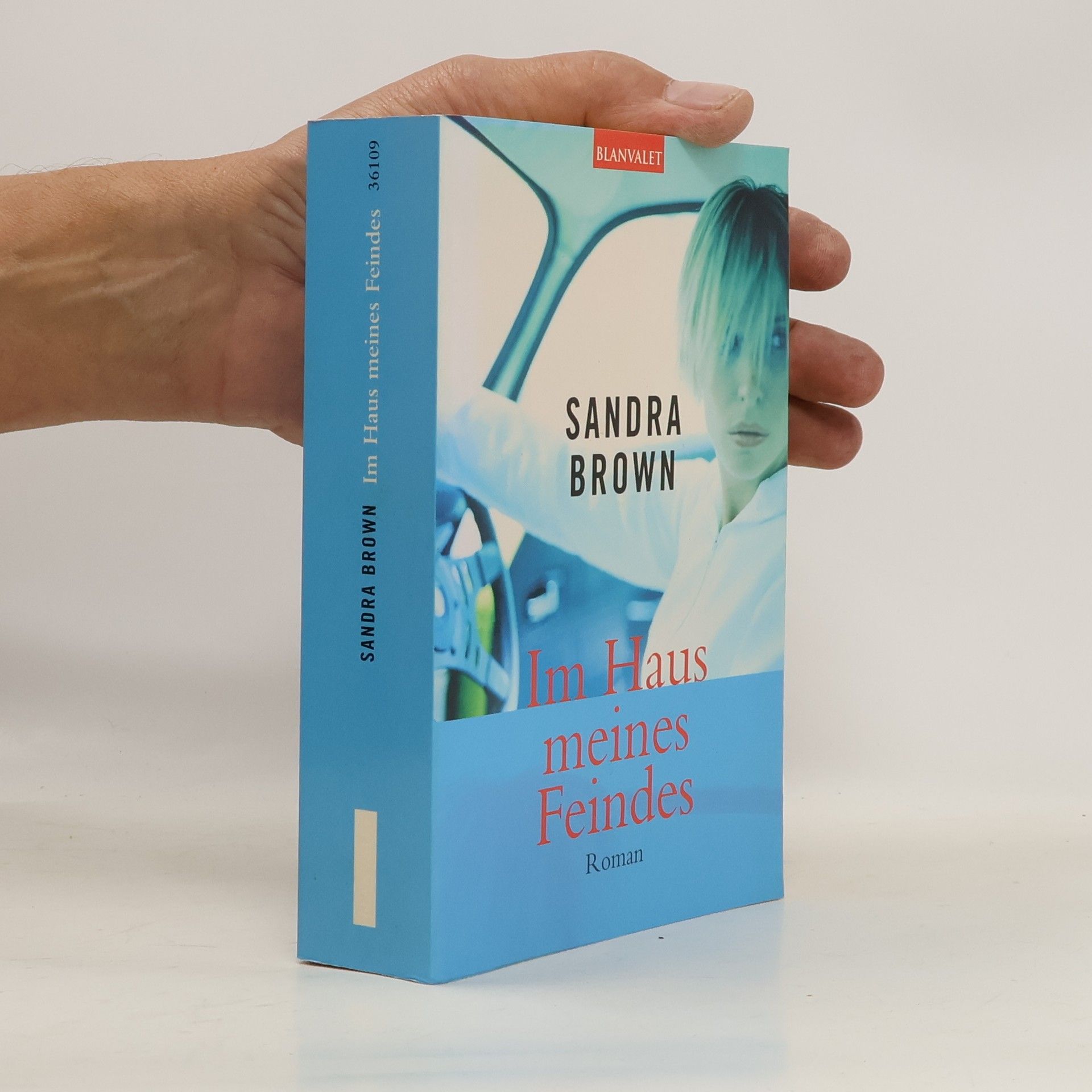 Sandra Brown Im Haus meines Feindes