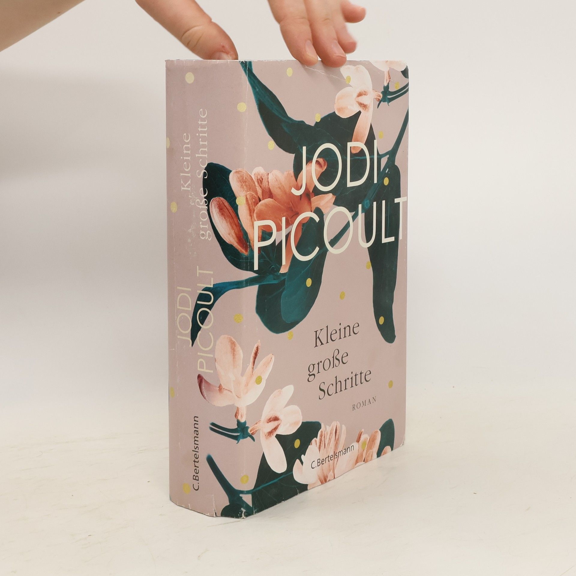 Jodi Picoult Kleine große Schritte