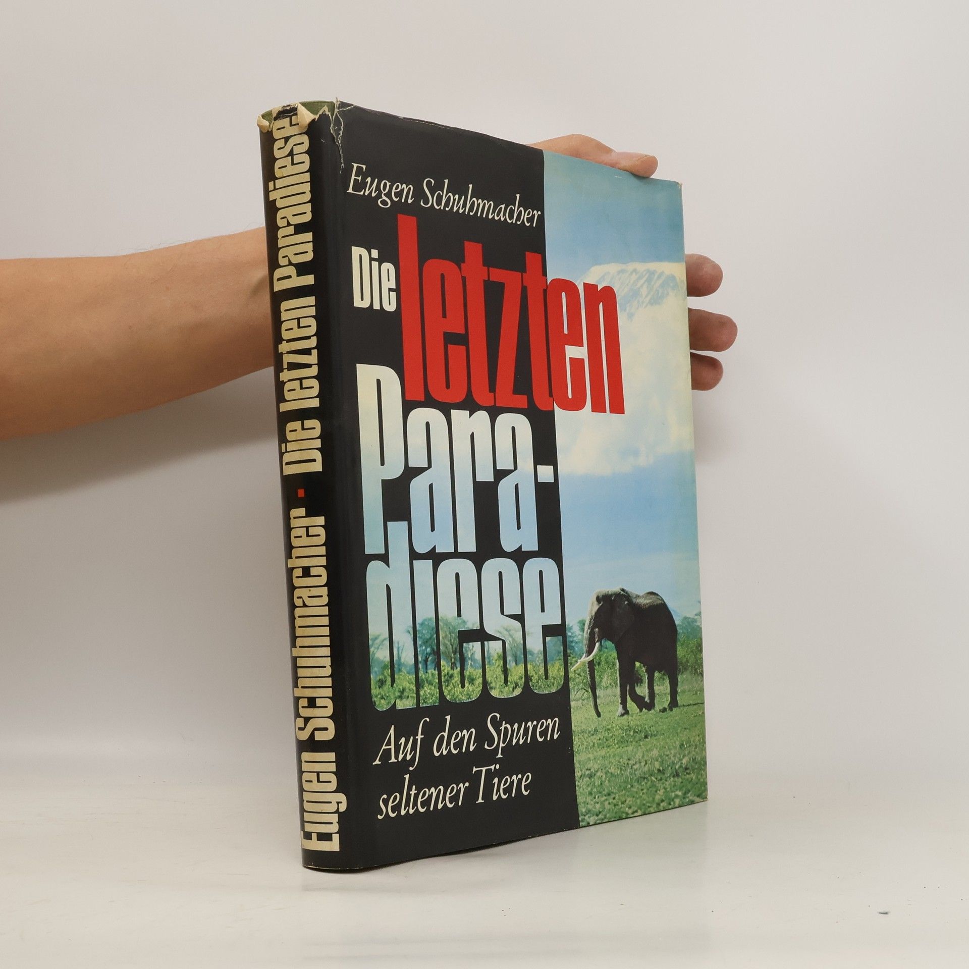 Ergen Schubmacher Die letzte Paradiese