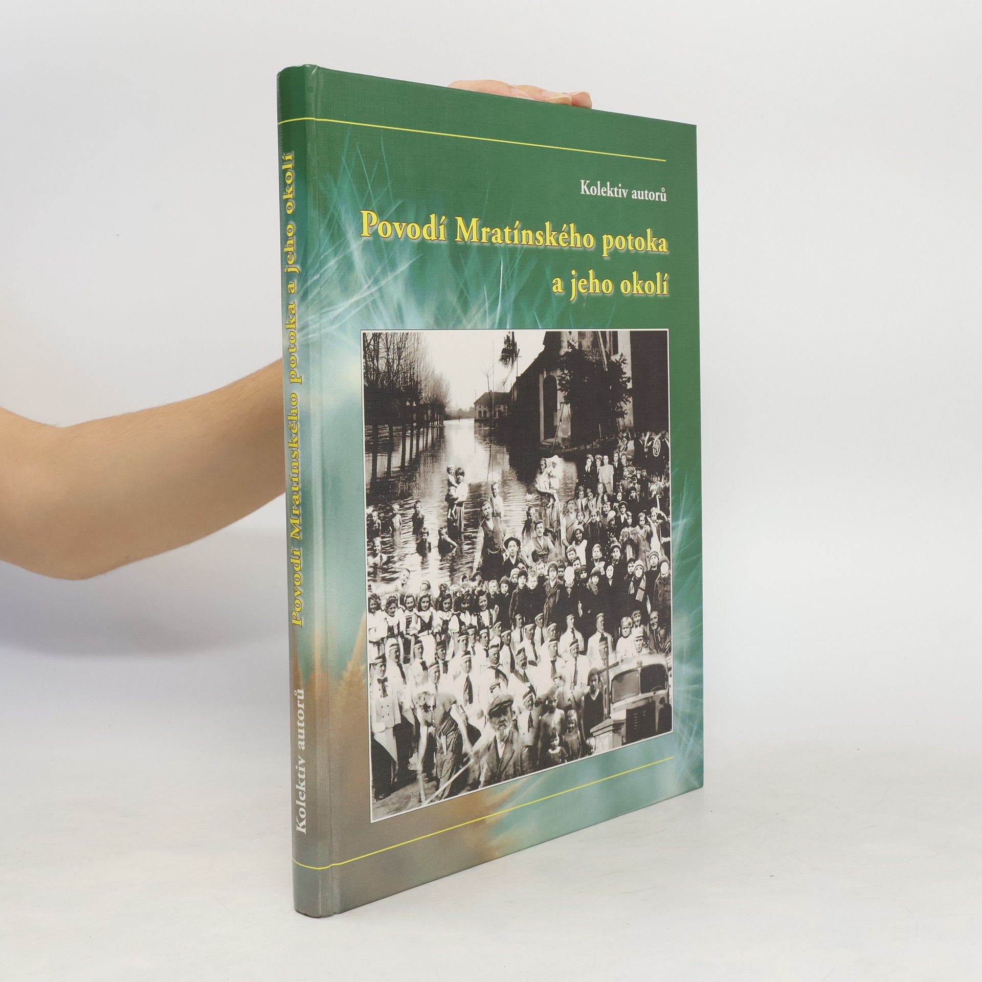 Hana Závorková Povodí Mratínského potoka a jeho okolí