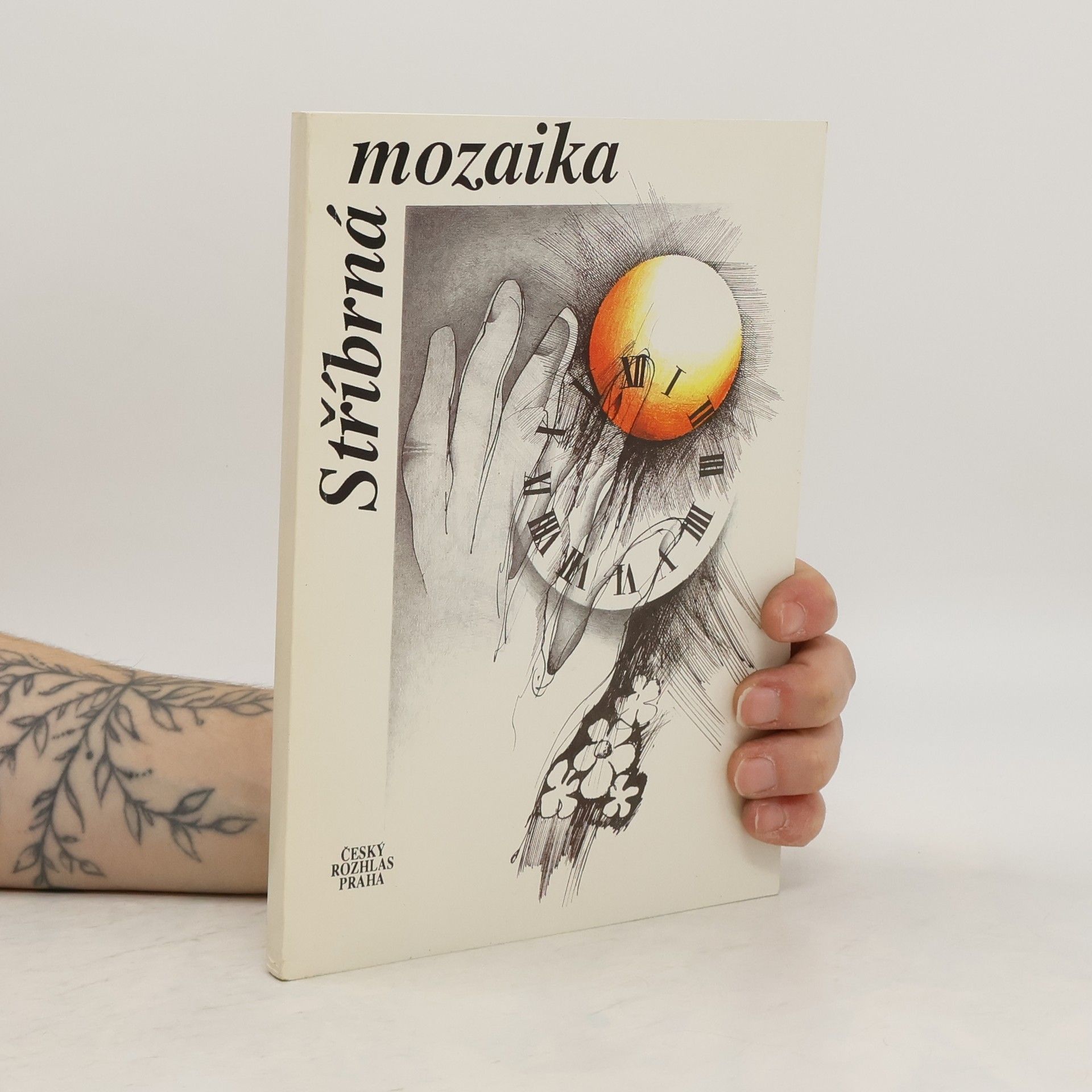 Dagmar Francová Stříbrná mozaika 2. díl