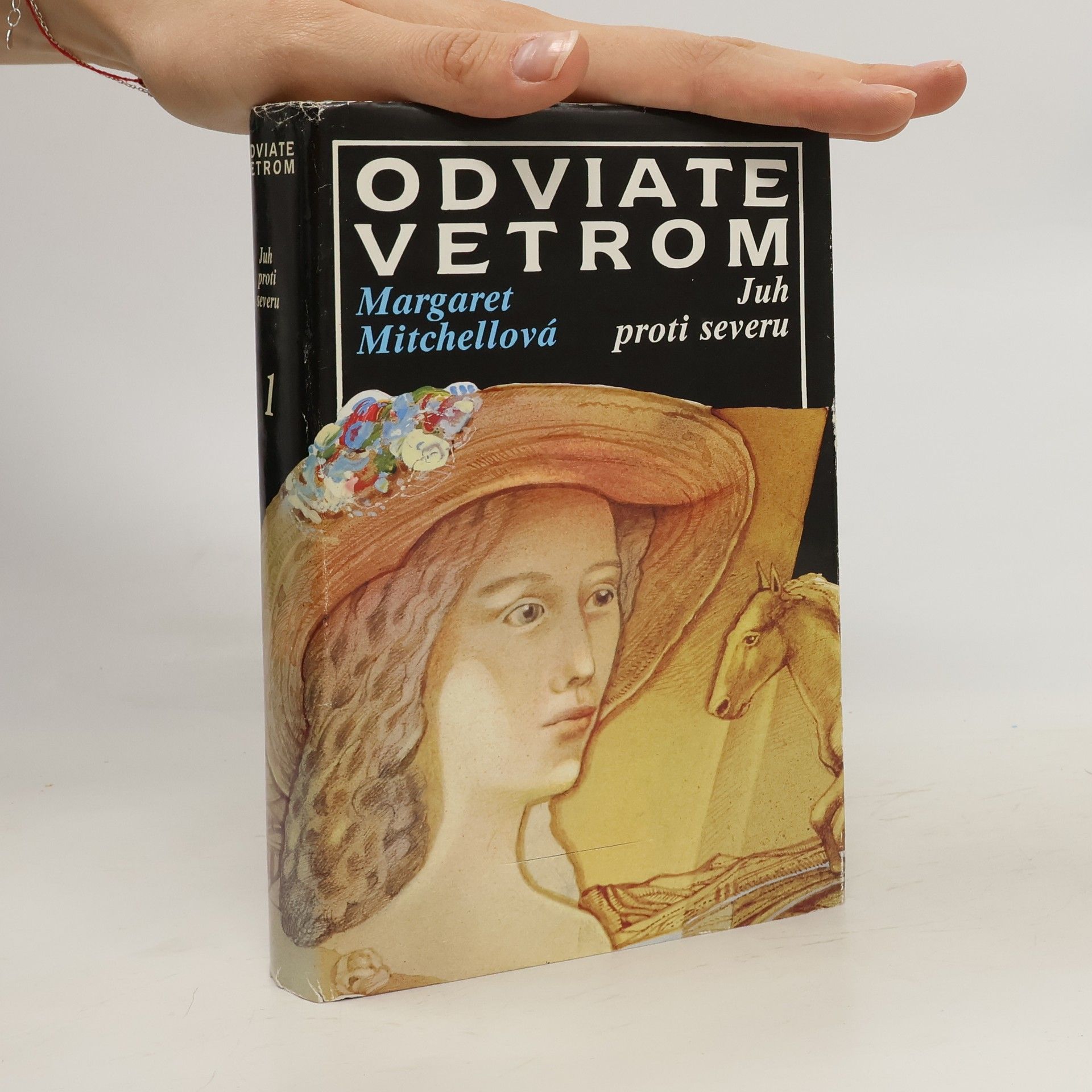 Margaret Mitchell Odviate vetrom 1. Juh proti severu