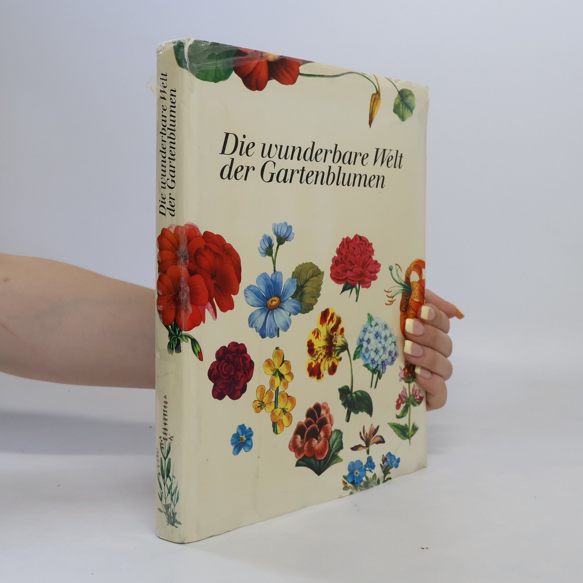 Autorenkollektiv Die wunderbare Welt der Gartenblumen