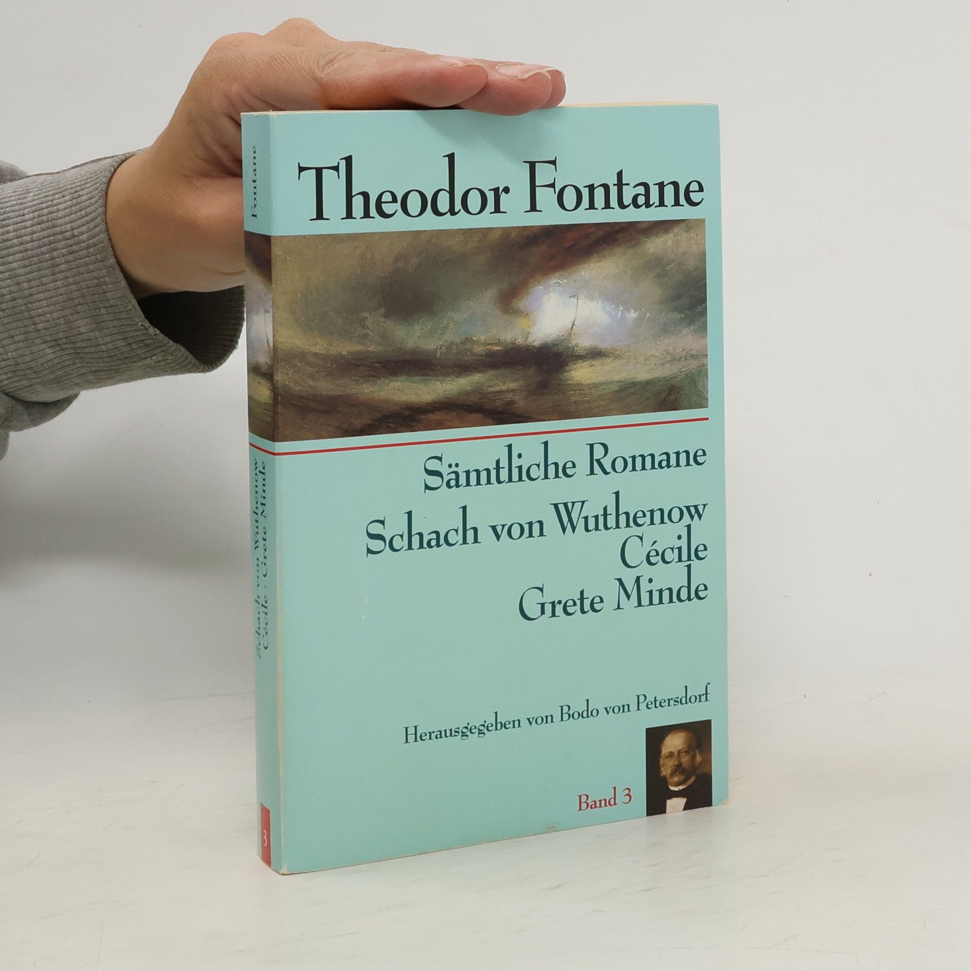 Theodor Fontane Schach von Wuthenow Cécile - Grete Minde. Band 3