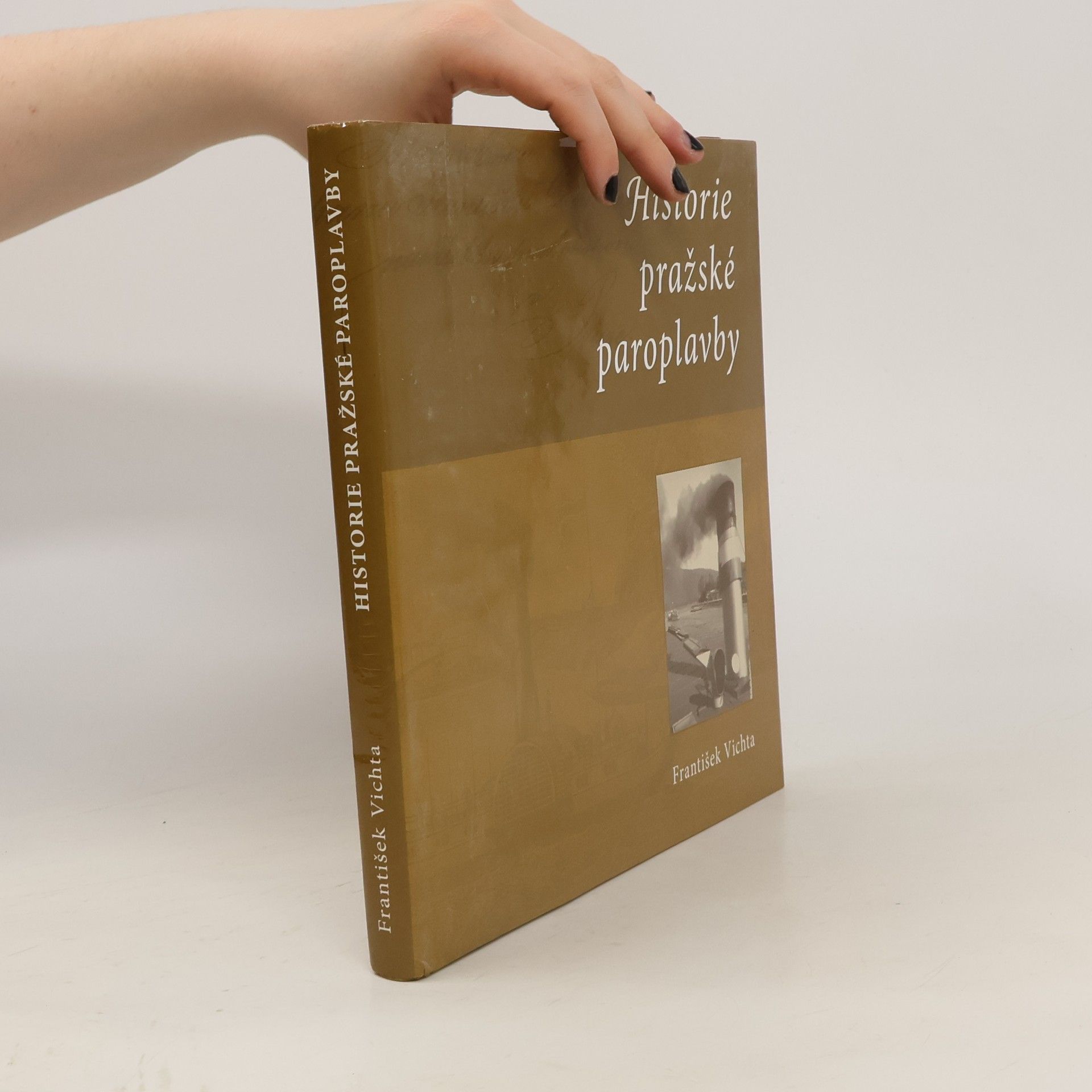 František Vichta Historie pražské paroplavby